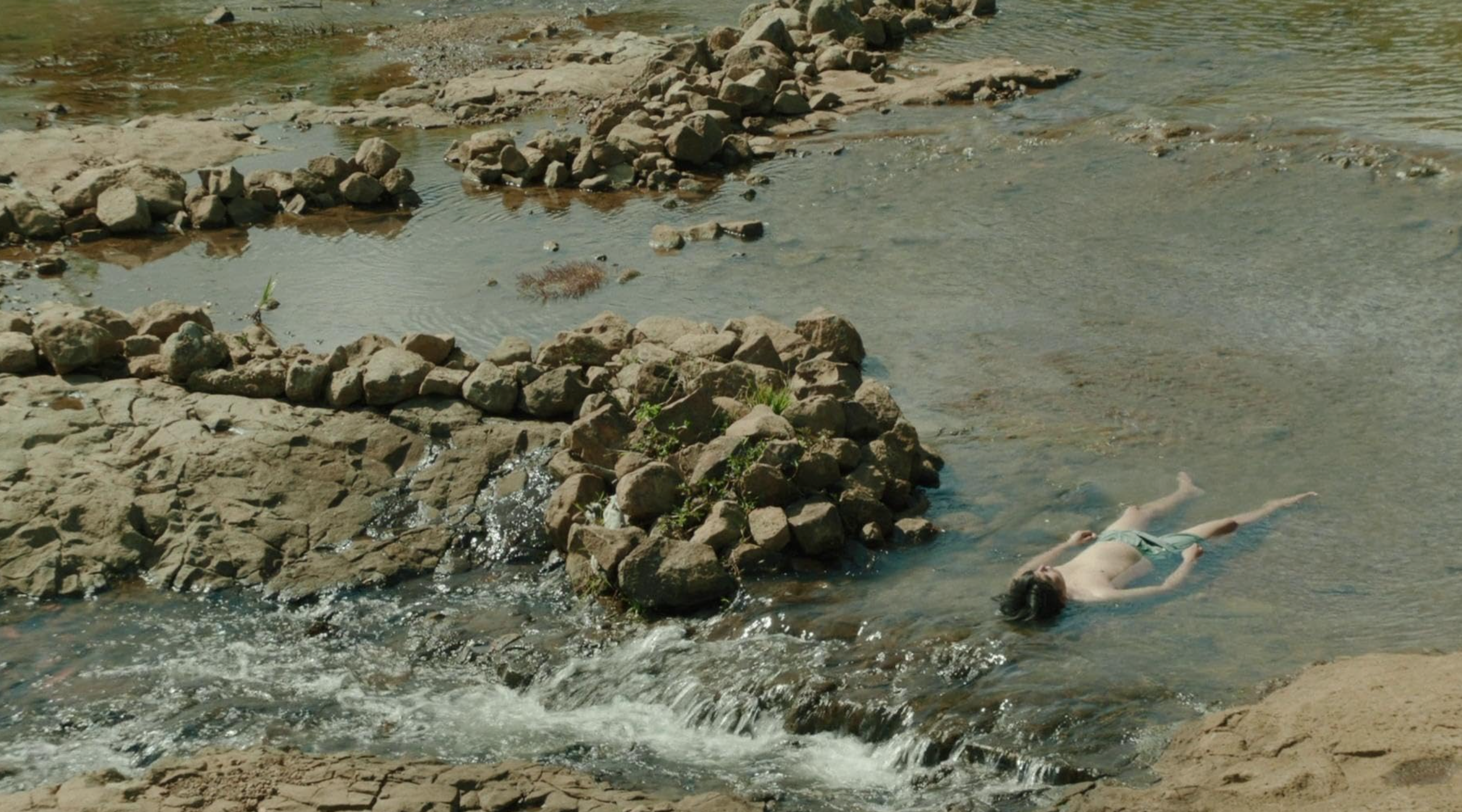 Inside The Yellow Cocoon Shell 