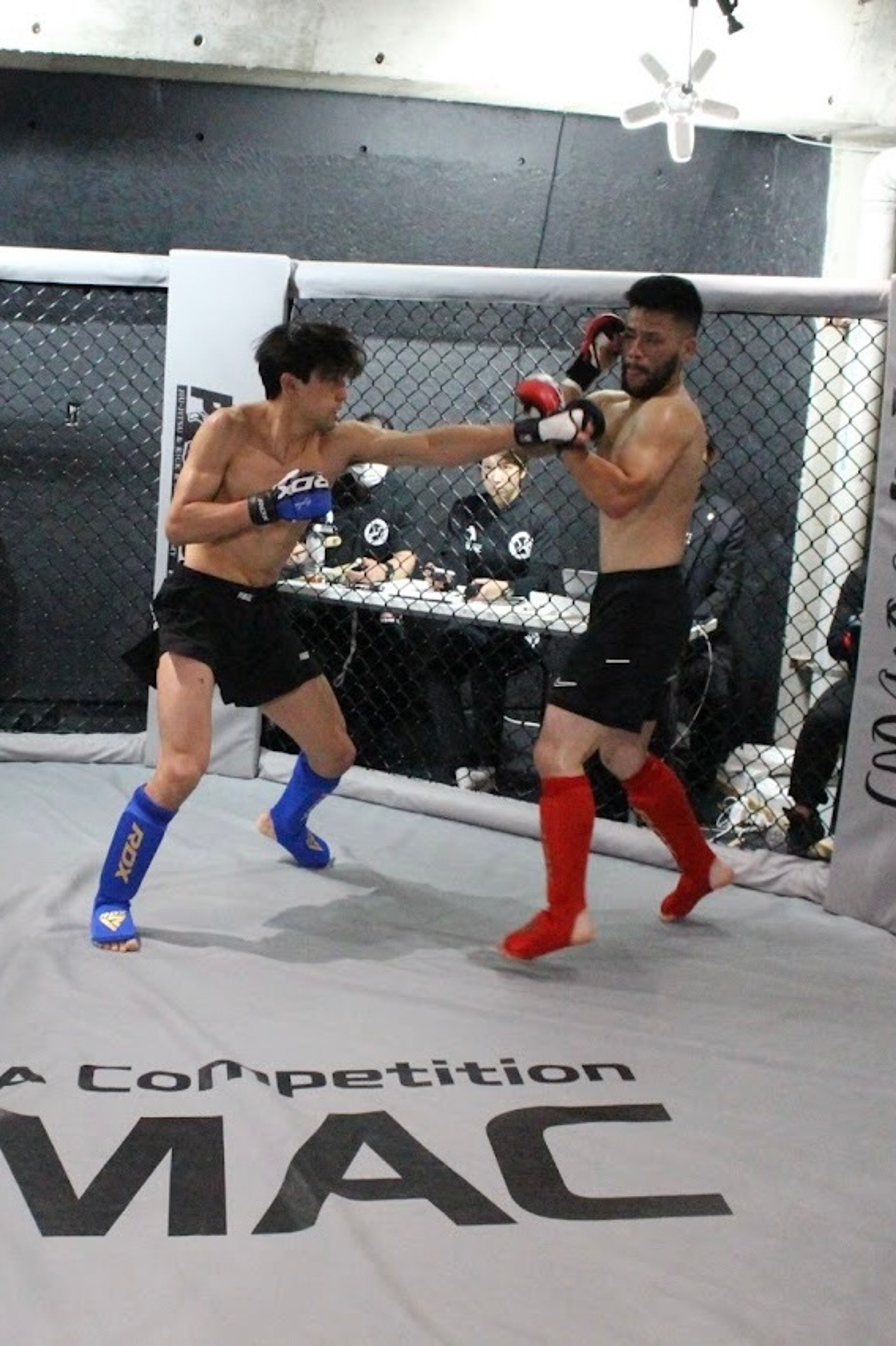 ice hockey mma fighter