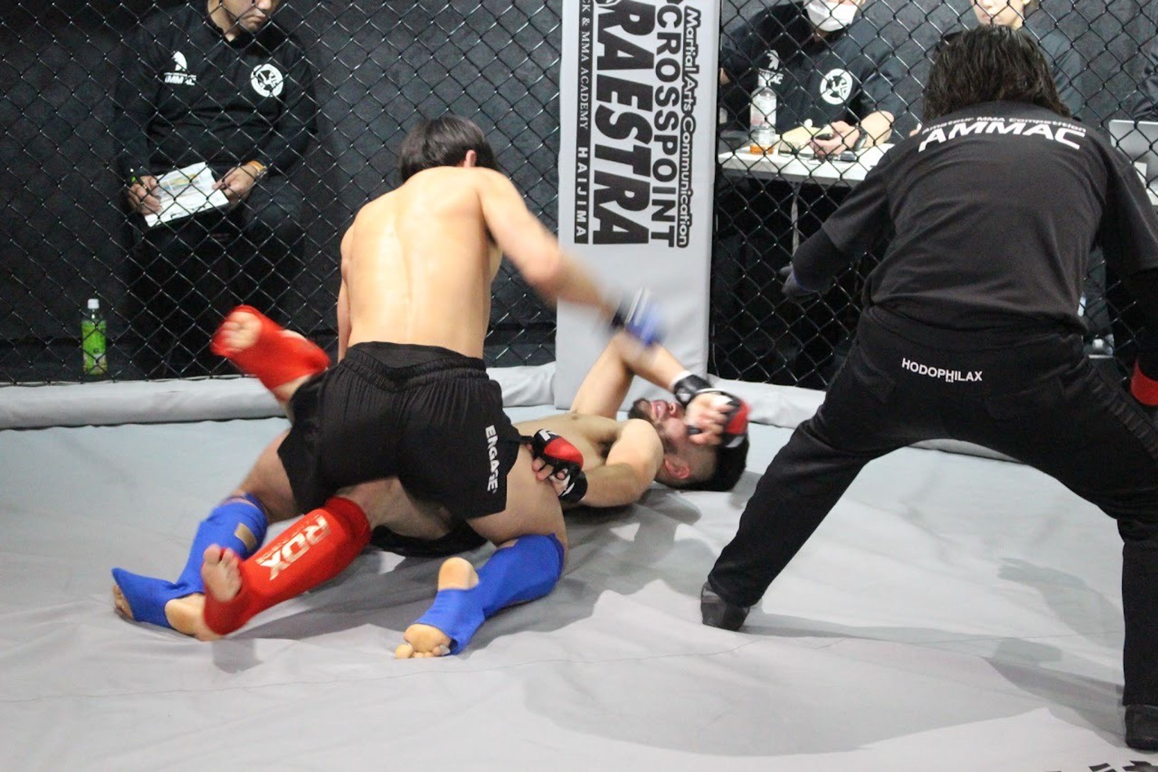 ryo mma ground and pound