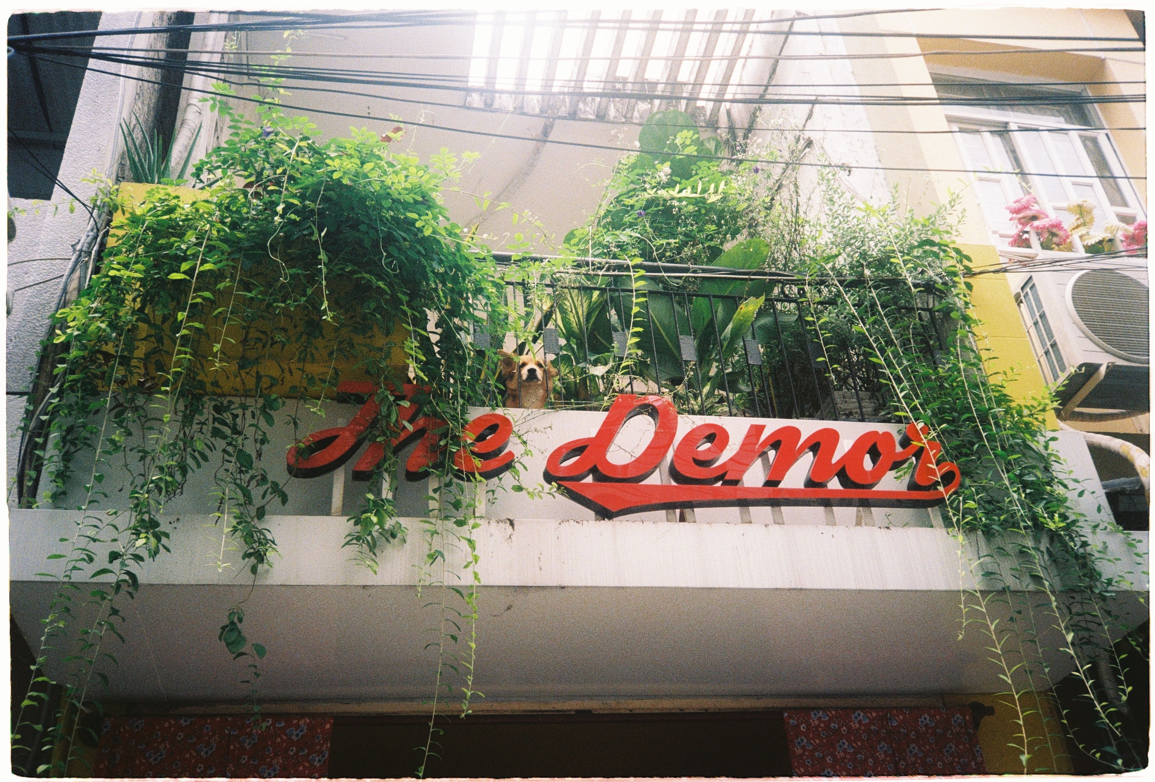 The Demor vintage clothes saigon indie culture hippie​​​​‌﻿‍﻿​‍​‍‌‍﻿﻿‌﻿​‍‌‍‍‌‌‍‌﻿‌‍‍‌‌‍﻿‍​‍​‍​﻿‍‍​‍​‍‌﻿​﻿‌‍​‌‌‍﻿‍‌‍‍‌‌﻿‌​‌﻿‍‌​‍﻿‍‌‍‍‌‌‍﻿﻿​‍​‍​‍﻿​​‍​‍‌‍‍​‌﻿​‍‌‍‌‌‌‍‌‍​‍​‍​﻿‍‍​‍​‍​‍﻿﻿‌﻿​﻿‌﻿‌​‌﻿‌‌‌‍‌​‌‍‍‌‌‍﻿﻿​‍﻿﻿‌‍‍‌‌‍﻿‍‌﻿‌​‌‍‌‌‌‍﻿‍‌﻿‌​​‍﻿﻿‌‍‌‌‌‍‌​‌‍‍‌‌﻿‌​​‍﻿﻿‌‍﻿‌‌‍﻿﻿‌‍‌​‌‍‌‌​﻿﻿‌‌﻿​​‌﻿​‍‌‍‌‌‌﻿​﻿‌‍‌‌‌‍﻿‍‌﻿‌​‌‍​‌‌﻿‌​‌‍‍‌‌‍﻿﻿‌‍﻿‍​﻿‍﻿‌‍‍‌‌‍‌​​﻿﻿‌​﻿​﻿​﻿‌﻿​﻿‍​​﻿‌​‌‍​﻿​﻿​﻿​﻿​﻿​﻿‌﻿​‍﻿‌​﻿‌﻿​﻿‌​​﻿​‍​﻿‍‌​‍﻿‌​﻿‌​‌‍​‍​﻿‌‍​﻿‍‌​‍﻿‌​﻿‍‌‌‍​‌​﻿‍​​﻿‌​​‍﻿‌‌‍​‍​﻿‍​​﻿‍‌​﻿‌​​﻿‍​‌‍​‌‌‍‌‍‌‍​‍​﻿​﻿‌‍​﻿​﻿​﻿​﻿‍‌​﻿‍﻿‌﻿‌​‌﻿‍‌‌﻿​​‌‍‌‌​﻿﻿‌‌﻿​​‌‍﻿﻿‌﻿​﻿‌﻿‌​​﻿‍﻿‌﻿​​‌‍​‌‌﻿‌​‌‍‍​​﻿﻿‌‌‍​﻿‌‍﻿﻿‌‍﻿‍‌﻿‌​‌‍‌‌‌‍﻿‍‌﻿‌​​‍‌‌​﻿‌‌‌​​‍‌‌﻿﻿‌‍‍﻿‌‍‌‌‌﻿‍‌​‍‌‌​﻿​﻿‌​‌​​‍‌‌​﻿​﻿‌​‌​​‍‌‌​﻿​‍​﻿​‍​﻿‌​‌‍‌‌​﻿‌‍‌‍‌‌‌‍‌‌‌‍​‌‌‍‌‌‌‍​‌​﻿​﻿​﻿‌‍​﻿‌‍​﻿‌‌​‍‌‌​﻿​‍​﻿​‍​‍‌‌​﻿‌‌‌​‌​​‍﻿‍‌‍​‌‌‍﻿​‌﻿‌​​﻿﻿﻿‌‍​‍‌‍​‌‌﻿​﻿‌‍‌‌‌‌‌‌‌﻿​‍‌‍﻿​​﻿﻿‌​‍‌‌​﻿​‍‌​‌‍‌﻿​﻿‌﻿‌​‌﻿‌‌‌‍‌​‌‍‍‌‌‍﻿﻿​‍‌‍‌‍‍‌‌‍‌​​﻿﻿‌​﻿​﻿​﻿‌﻿​﻿‍​​﻿‌​‌‍​﻿​﻿​﻿​﻿​﻿​﻿‌﻿​‍﻿‌​﻿‌﻿​﻿‌​​﻿​‍​﻿‍‌​‍﻿‌​﻿‌​‌‍​‍​﻿‌‍​﻿‍‌​‍﻿‌​﻿‍‌‌‍​‌​﻿‍​​﻿‌​​‍﻿‌‌‍​‍​﻿‍​​﻿‍‌​﻿‌​​﻿‍​‌‍​‌‌‍‌‍‌‍​‍​﻿​﻿‌‍​﻿​﻿​﻿​﻿‍‌​‍‌‍‌﻿‌​‌﻿‍‌‌﻿​​‌‍‌‌​﻿﻿‌‌﻿​​‌‍﻿﻿‌﻿​﻿‌﻿‌​​‍‌‍‌﻿​​‌‍​‌‌﻿‌​‌‍‍​​﻿﻿‌‌‍​﻿‌‍﻿﻿‌‍﻿‍‌﻿‌​‌‍‌‌‌‍﻿‍‌﻿‌​​‍‌‌​﻿‌‌‌​​‍‌‌﻿﻿‌‍‍﻿‌‍‌‌‌﻿‍‌​‍‌‌​﻿​﻿‌​‌​​‍‌‌​﻿​﻿‌​‌​​‍‌‌​﻿​‍​﻿​‍​﻿‌​‌‍‌‌​﻿‌‍‌‍‌‌‌‍‌‌‌‍​‌‌‍‌‌‌‍​‌​﻿​﻿​﻿‌‍​﻿‌‍​﻿‌‌​‍‌‌​﻿​‍​﻿​‍​‍‌‌​﻿‌‌‌​‌​​‍﻿‍‌‍​‌‌‍﻿​‌﻿‌​​‍‌‍‌﻿​​‌‍‌‌‌﻿​‍‌﻿​﻿‌﻿​​‌‍‌‌‌‍​﻿‌﻿‌​‌‍‍‌‌﻿‌‍‌‍‌‌​﻿﻿‌‌﻿​​‌﻿‌‌‌‍​‍‌‍﻿​‌‍‍‌‌﻿​﻿‌‍‍​‌‍‌‌‌‍‌​​‍​‍‌﻿﻿‌