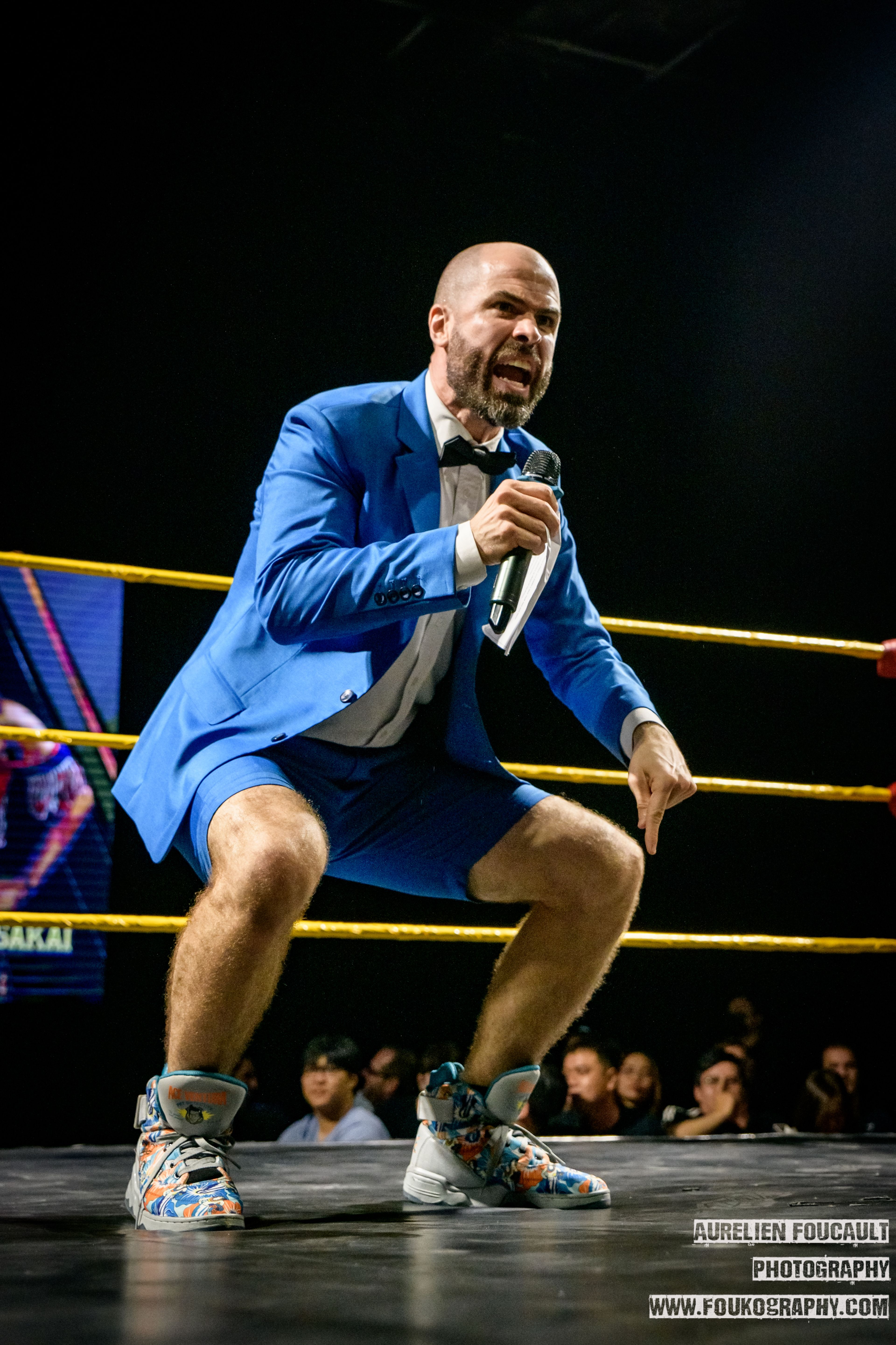 ring announcer wrestling vpw