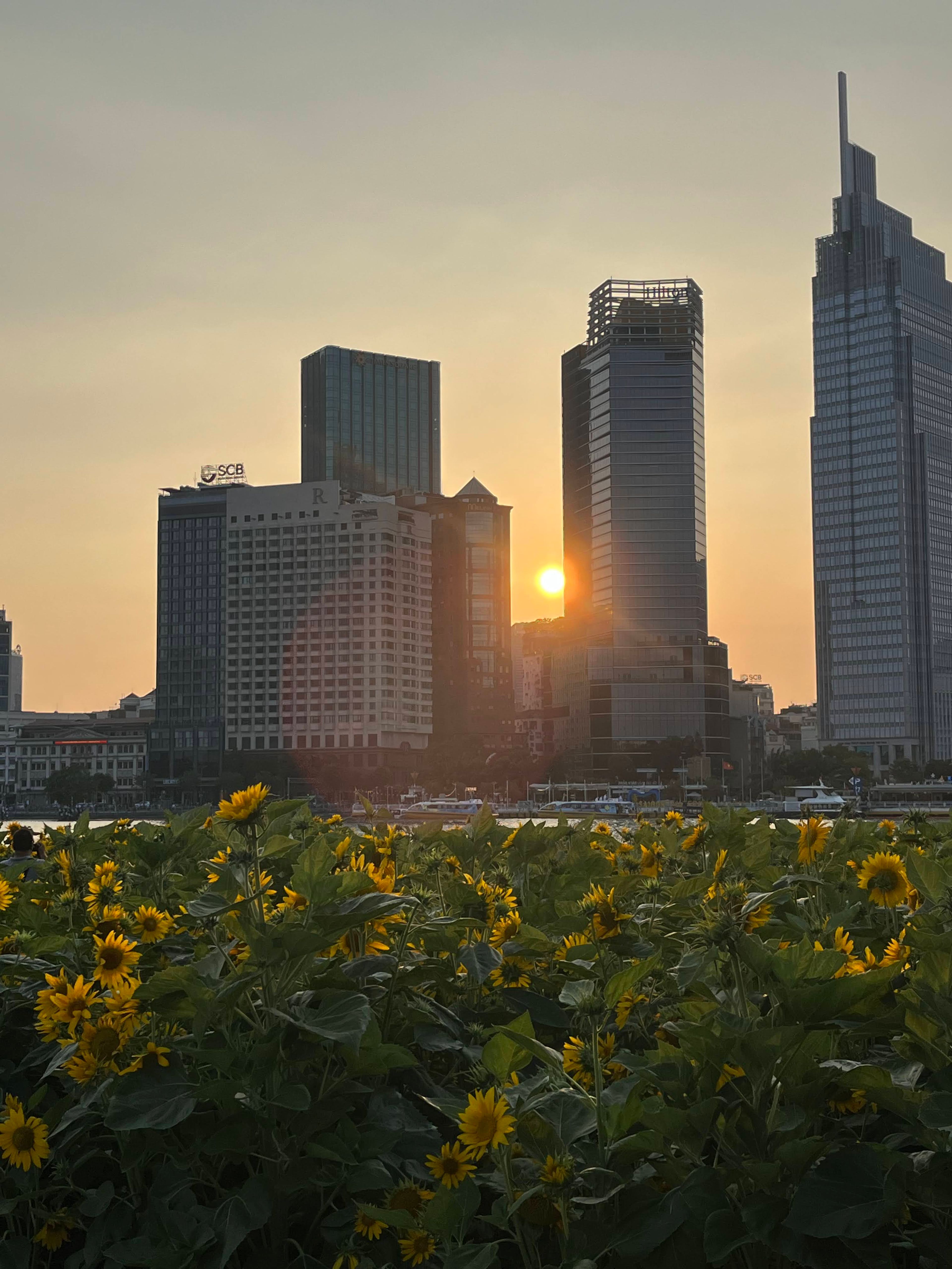 skyline of saigon with flowers in foreground​​​​‌﻿‍﻿​‍​‍‌‍﻿﻿‌﻿​‍‌‍‍‌‌‍‌﻿‌‍‍‌‌‍﻿‍​‍​‍​﻿‍‍​‍​‍‌﻿​﻿‌‍​‌‌‍﻿‍‌‍‍‌‌﻿‌​‌﻿‍‌​‍﻿‍‌‍‍‌‌‍﻿﻿​‍​‍​‍﻿​​‍​‍‌‍‍​‌﻿​‍‌‍‌‌‌‍‌‍​‍​‍​﻿‍‍​‍​‍​‍﻿﻿‌﻿​﻿‌﻿‌​‌﻿‌‌‌‍‌​‌‍‍‌‌‍﻿﻿​‍﻿﻿‌‍‍‌‌‍﻿‍‌﻿‌​‌‍‌‌‌‍﻿‍‌﻿‌​​‍﻿﻿‌‍‌‌‌‍‌​‌‍‍‌‌﻿‌​​‍﻿﻿‌‍﻿‌‌‍﻿﻿‌‍‌​‌‍‌‌​﻿﻿‌‌﻿​​‌﻿​‍‌‍‌‌‌﻿​﻿‌‍‌‌‌‍﻿‍‌﻿‌​‌‍​‌‌﻿‌​‌‍‍‌‌‍﻿﻿‌‍﻿‍​﻿‍﻿‌‍‍‌‌‍‌​​﻿﻿‌‌‍‌‍​﻿​​‌‍​‍‌‍‌​‌‍​﻿‌‍‌‌‌‍​‍‌‍​‌​‍﻿‌​﻿​﻿​﻿‌‍​﻿‍​​﻿‍‌​‍﻿‌​﻿‌​​﻿‌‌​﻿​‍​﻿‍‌​‍﻿‌‌‍​‍​﻿‌​‌‍​‌​﻿​‍​‍﻿‌​﻿‌﻿‌‍‌​​﻿‌‍‌‍​‍‌‍‌‌‌‍​﻿​﻿​​​﻿​‍‌‍‌‍​﻿​​‌‍‌​​﻿‌‌​﻿‍﻿‌﻿‌​‌﻿‍‌‌﻿​​‌‍‌‌​﻿﻿‌‌﻿​​‌‍﻿﻿‌﻿​﻿‌﻿‌​​﻿‍﻿‌﻿​​‌‍​‌‌﻿‌​‌‍‍​​﻿﻿‌‌‍​﻿‌‍﻿﻿‌‍﻿‍‌﻿‌​‌‍‌‌‌‍﻿‍‌﻿‌​​‍‌‌​﻿‌‌‌​​‍‌‌﻿﻿‌‍‍﻿‌‍‌‌‌﻿‍‌​‍‌‌​﻿​﻿‌​‌​​‍‌‌​﻿​﻿‌​‌​​‍‌‌​﻿​‍​﻿​‍​﻿‌​​﻿‍‌​﻿‌‌‌‍‌‍​﻿‌‍​﻿​﻿‌‍‌‍​﻿​​‌‍‌‌​﻿​‍​﻿​‌‌‍‌‍​‍‌‌​﻿​‍​﻿​‍​‍‌‌​﻿‌‌‌​‌​​‍﻿‍‌‍​‌‌‍﻿​‌﻿‌​​﻿﻿﻿‌‍​‍‌‍​‌‌﻿​﻿‌‍‌‌‌‌‌‌‌﻿​‍‌‍﻿​​﻿﻿‌​‍‌‌​﻿​‍‌​‌‍‌﻿​﻿‌﻿‌​‌﻿‌‌‌‍‌​‌‍‍‌‌‍﻿﻿​‍‌‍‌‍‍‌‌‍‌​​﻿﻿‌‌‍‌‍​﻿​​‌‍​‍‌‍‌​‌‍​﻿‌‍‌‌‌‍​‍‌‍​‌​‍﻿‌​﻿​﻿​﻿‌‍​﻿‍​​﻿‍‌​‍﻿‌​﻿‌​​﻿‌‌​﻿​‍​﻿‍‌​‍﻿‌‌‍​‍​﻿‌​‌‍​‌​﻿​‍​‍﻿‌​﻿‌﻿‌‍‌​​﻿‌‍‌‍​‍‌‍‌‌‌‍​﻿​﻿​​​﻿​‍‌‍‌‍​﻿​​‌‍‌​​﻿‌‌​‍‌‍‌﻿‌​‌﻿‍‌‌﻿​​‌‍‌‌​﻿﻿‌‌﻿​​‌‍﻿﻿‌﻿​﻿‌﻿‌​​‍‌‍‌﻿​​‌‍​‌‌﻿‌​‌‍‍​​﻿﻿‌‌‍​﻿‌‍﻿﻿‌‍﻿‍‌﻿‌​‌‍‌‌‌‍﻿‍‌﻿‌​​‍‌‌​﻿‌‌‌​​‍‌‌﻿﻿‌‍‍﻿‌‍‌‌‌﻿‍‌​‍‌‌​﻿​﻿‌​‌​​‍‌‌​﻿​﻿‌​‌​​‍‌‌​﻿​‍​﻿​‍​﻿‌​​﻿‍‌​﻿‌‌‌‍‌‍​﻿‌‍​﻿​﻿‌‍‌‍​﻿​​‌‍‌‌​﻿​‍​﻿​‌‌‍‌‍​‍‌‌​﻿​‍​﻿​‍​‍‌‌​﻿‌‌‌​‌​​‍﻿‍‌‍​‌‌‍﻿​‌﻿‌​​‍‌‍‌﻿​​‌‍‌‌‌﻿​‍‌﻿​﻿‌﻿​​‌‍‌‌‌‍​﻿‌﻿‌​‌‍‍‌‌﻿‌‍‌‍‌‌​﻿﻿‌‌﻿​​‌﻿‌‌‌‍​‍‌‍﻿​‌‍‍‌‌﻿​﻿‌‍‍​‌‍‌‌‌‍‌​​‍​‍‌﻿﻿‌