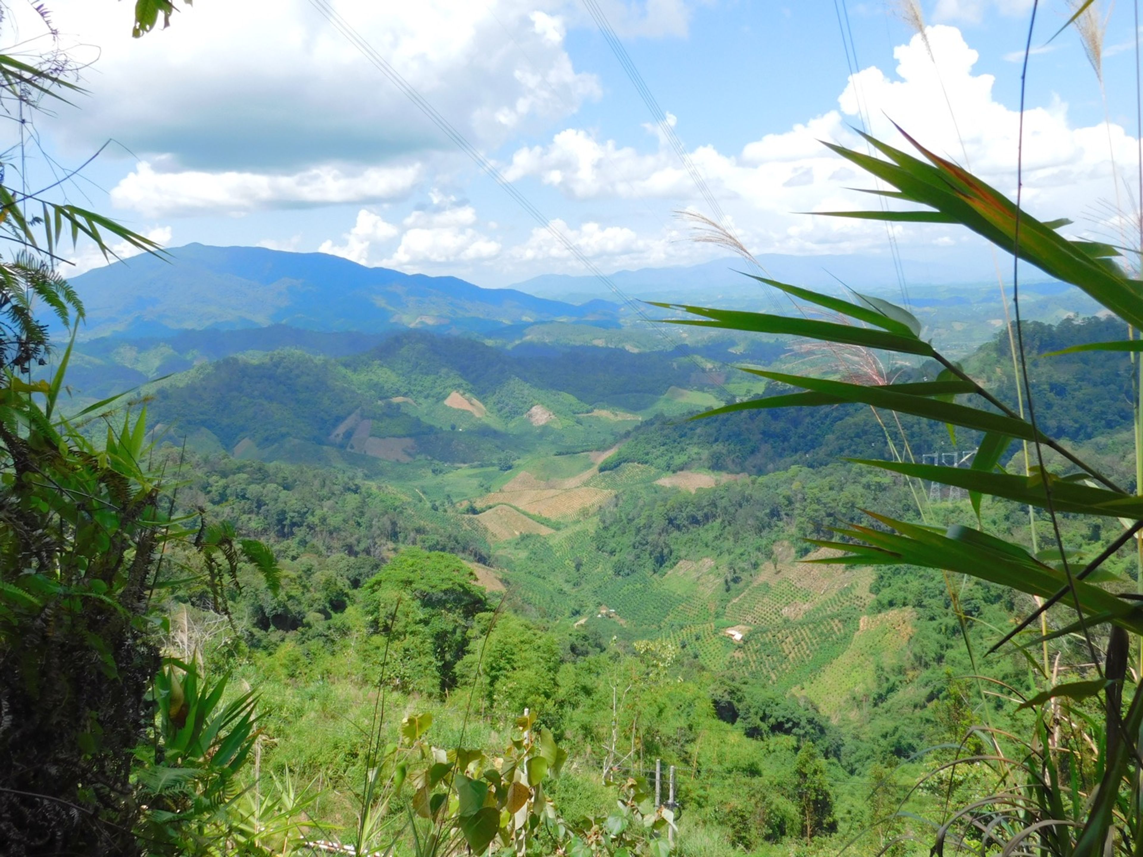 dalat hills vietnam​​​​‌﻿‍﻿​‍​‍‌‍﻿﻿‌﻿​‍‌‍‍‌‌‍‌﻿‌‍‍‌‌‍﻿‍​‍​‍​﻿‍‍​‍​‍‌﻿​﻿‌‍​‌‌‍﻿‍‌‍‍‌‌﻿‌​‌﻿‍‌​‍﻿‍‌‍‍‌‌‍﻿﻿​‍​‍​‍﻿​​‍​‍‌‍‍​‌﻿​‍‌‍‌‌‌‍‌‍​‍​‍​﻿‍‍​‍​‍​‍﻿﻿‌﻿​﻿‌﻿‌​‌﻿‌‌‌‍‌​‌‍‍‌‌‍﻿﻿​‍﻿﻿‌‍‍‌‌‍﻿‍‌﻿‌​‌‍‌‌‌‍﻿‍‌﻿‌​​‍﻿﻿‌‍‌‌‌‍‌​‌‍‍‌‌﻿‌​​‍﻿﻿‌‍﻿‌‌‍﻿﻿‌‍‌​‌‍‌‌​﻿﻿‌‌﻿​​‌﻿​‍‌‍‌‌‌﻿​﻿‌‍‌‌‌‍﻿‍‌﻿‌​‌‍​‌‌﻿‌​‌‍‍‌‌‍﻿﻿‌‍﻿‍​﻿‍﻿‌‍‍‌‌‍‌​​﻿﻿‌‌‍‌​‌‍‌‍​﻿‍‌​﻿​‌​﻿‌‌​﻿‍‌​﻿​﻿​﻿‌​​‍﻿‌​﻿​‍​﻿​‍‌‍‌‌‌‍​‍​‍﻿‌​﻿‌​‌‍​‍‌‍​﻿‌‍​‌​‍﻿‌‌‍​‍‌‍​‍​﻿​​​﻿​‌​‍﻿‌‌‍​‌​﻿​﻿​﻿‌‌‌‍​‌‌‍​﻿​﻿​​‌‍‌‌‌‍​‍‌‍​‌​﻿‍​​﻿‍​​﻿‌​​﻿‍﻿‌﻿‌​‌﻿‍‌‌﻿​​‌‍‌‌​﻿﻿‌‌﻿​​‌‍﻿﻿‌﻿​﻿‌﻿‌​​﻿‍﻿‌﻿​​‌‍​‌‌﻿‌​‌‍‍​​﻿﻿‌‌‍​﻿‌‍﻿﻿‌‍﻿‍‌﻿‌​‌‍‌‌‌‍﻿‍‌﻿‌​​‍‌‌​﻿‌‌‌​​‍‌‌﻿﻿‌‍‍﻿‌‍‌‌‌﻿‍‌​‍‌‌​﻿​﻿‌​‌​​‍‌‌​﻿​﻿‌​‌​​‍‌‌​﻿​‍​﻿​‍​﻿‌‌​﻿‌‍‌‍‌‌​﻿‌﻿‌‍​‍‌‍‌‍​﻿​​​﻿‌​​﻿​‌​﻿​‌​﻿‌​​﻿​‍​‍‌‌​﻿​‍​﻿​‍​‍‌‌​﻿‌‌‌​‌​​‍﻿‍‌‍​‌‌‍﻿​‌﻿‌​​﻿﻿﻿‌‍​‍‌‍​‌‌﻿​﻿‌‍‌‌‌‌‌‌‌﻿​‍‌‍﻿​​﻿﻿‌​‍‌‌​﻿​‍‌​‌‍‌﻿​﻿‌﻿‌​‌﻿‌‌‌‍‌​‌‍‍‌‌‍﻿﻿​‍‌‍‌‍‍‌‌‍‌​​﻿﻿‌‌‍‌​‌‍‌‍​﻿‍‌​﻿​‌​﻿‌‌​﻿‍‌​﻿​﻿​﻿‌​​‍﻿‌​﻿​‍​﻿​‍‌‍‌‌‌‍​‍​‍﻿‌​﻿‌​‌‍​‍‌‍​﻿‌‍​‌​‍﻿‌‌‍​‍‌‍​‍​﻿​​​﻿​‌​‍﻿‌‌‍​‌​﻿​﻿​﻿‌‌‌‍​‌‌‍​﻿​﻿​​‌‍‌‌‌‍​‍‌‍​‌​﻿‍​​﻿‍​​﻿‌​​‍‌‍‌﻿‌​‌﻿‍‌‌﻿​​‌‍‌‌​﻿﻿‌‌﻿​​‌‍﻿﻿‌﻿​﻿‌﻿‌​​‍‌‍‌﻿​​‌‍​‌‌﻿‌​‌‍‍​​﻿﻿‌‌‍​﻿‌‍﻿﻿‌‍﻿‍‌﻿‌​‌‍‌‌‌‍﻿‍‌﻿‌​​‍‌‌​﻿‌‌‌​​‍‌‌﻿﻿‌‍‍﻿‌‍‌‌‌﻿‍‌​‍‌‌​﻿​﻿‌​‌​​‍‌‌​﻿​﻿‌​‌​​‍‌‌​﻿​‍​﻿​‍​﻿‌‌​﻿‌‍‌‍‌‌​﻿‌﻿‌‍​‍‌‍‌‍​﻿​​​﻿‌​​﻿​‌​﻿​‌​﻿‌​​﻿​‍​‍‌‌​﻿​‍​﻿​‍​‍‌‌​﻿‌‌‌​‌​​‍﻿‍‌‍​‌‌‍﻿​‌﻿‌​​‍‌‍‌﻿​​‌‍‌‌‌﻿​‍‌﻿​﻿‌﻿​​‌‍‌‌‌‍​﻿‌﻿‌​‌‍‍‌‌﻿‌‍‌‍‌‌​﻿﻿‌‌﻿​​‌﻿‌‌‌‍​‍‌‍﻿​‌‍‍‌‌﻿​﻿‌‍‍​‌‍‌‌‌‍‌​​‍​‍‌﻿﻿‌