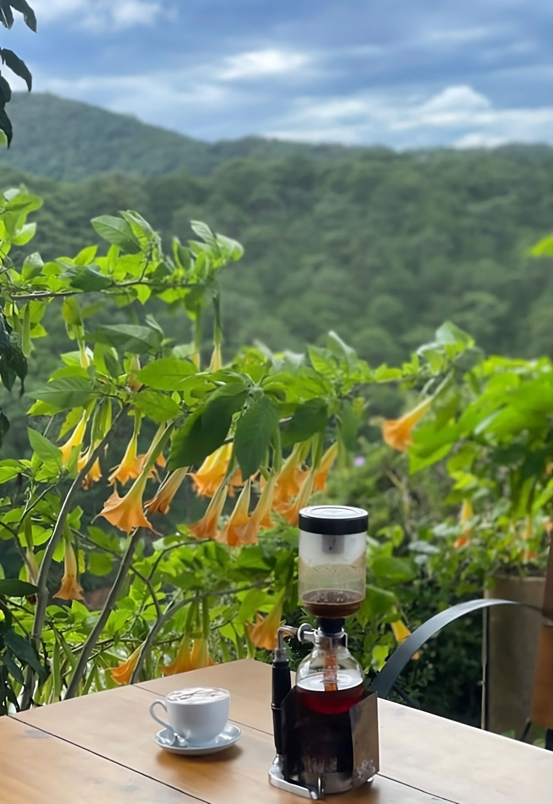 da lat coffee shope cafe weasel coffee