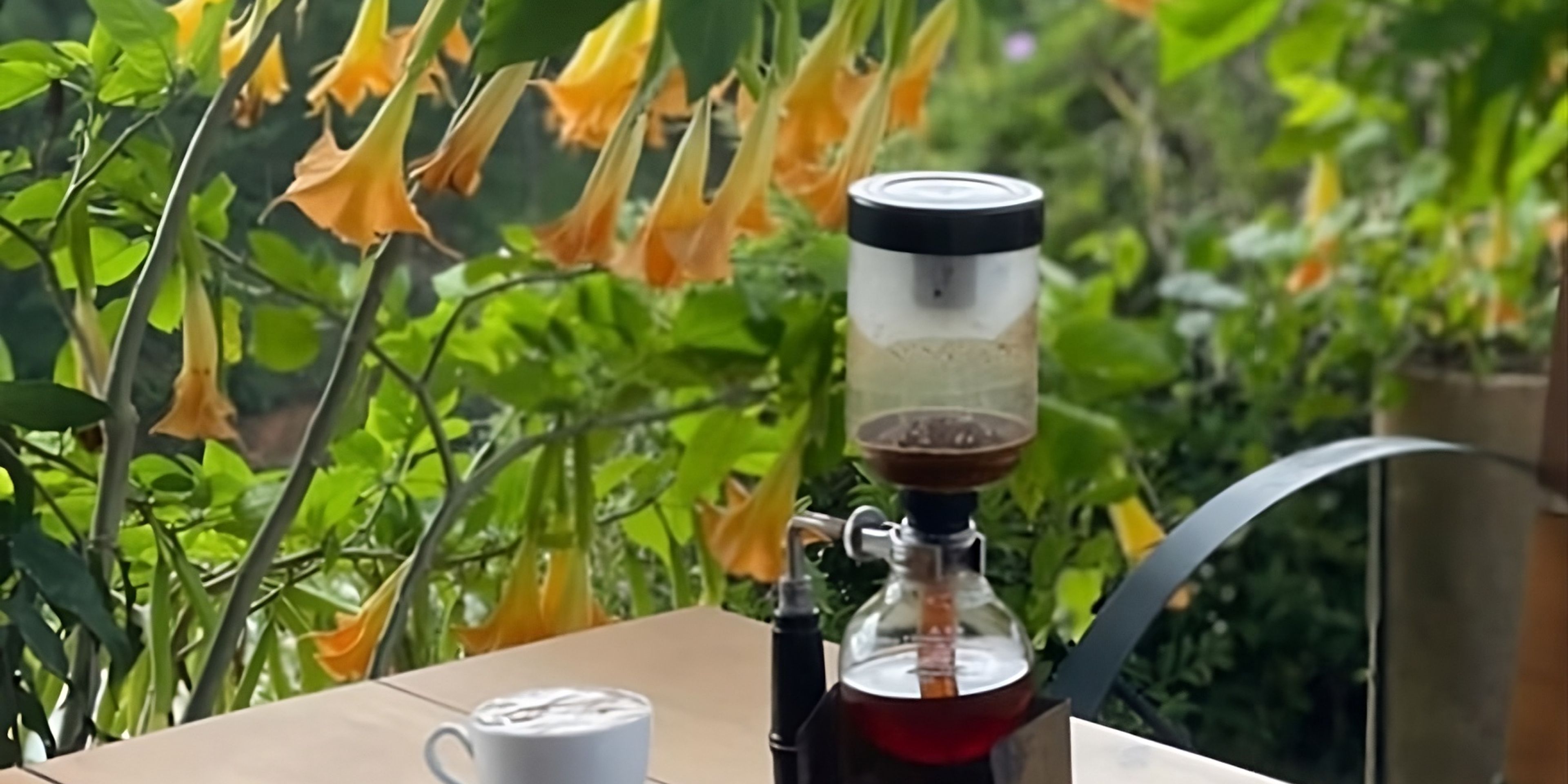 da lat coffee shope cafe weasel coffee