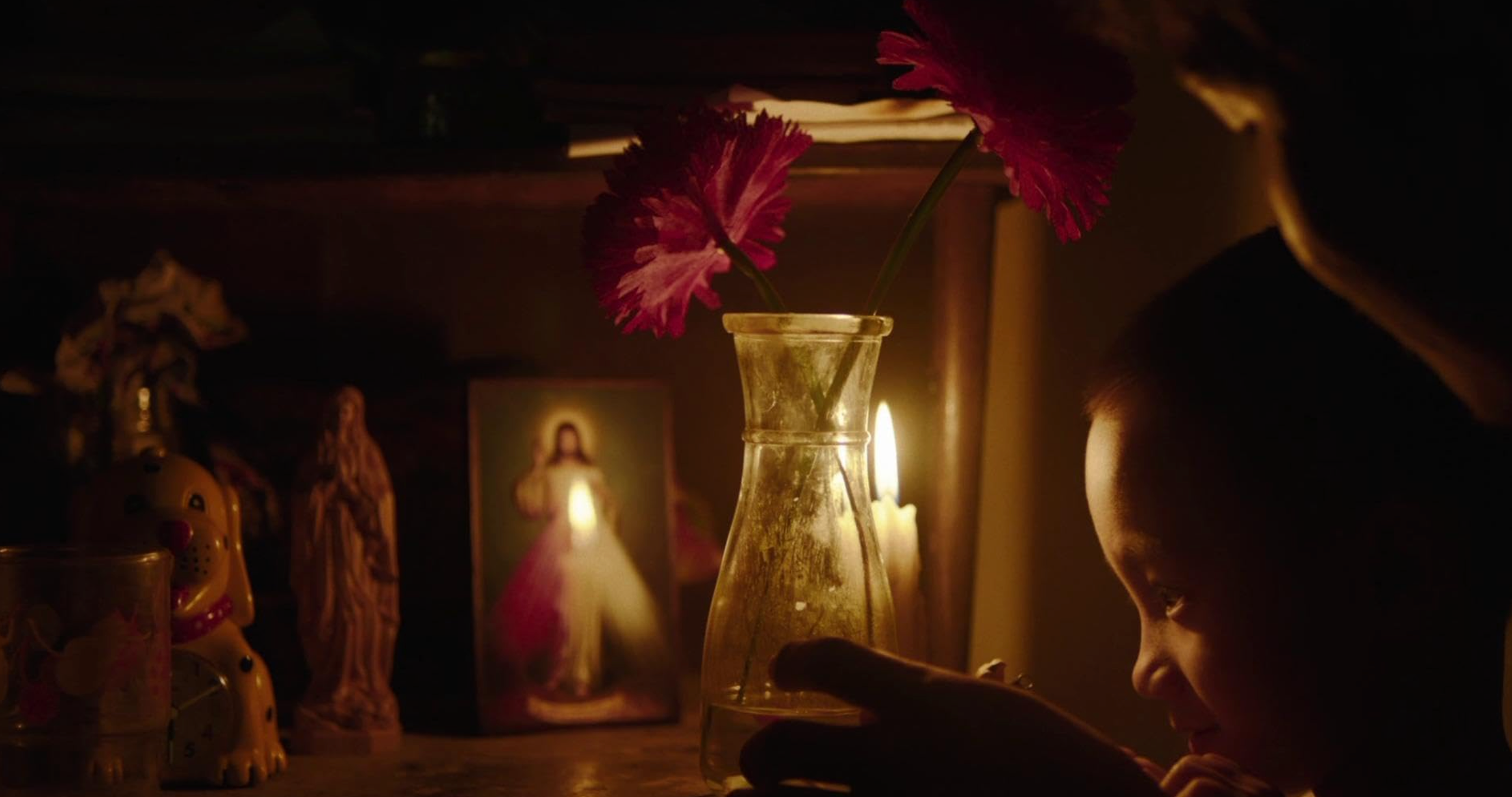 Inside The Yellow Cocoon Shell 