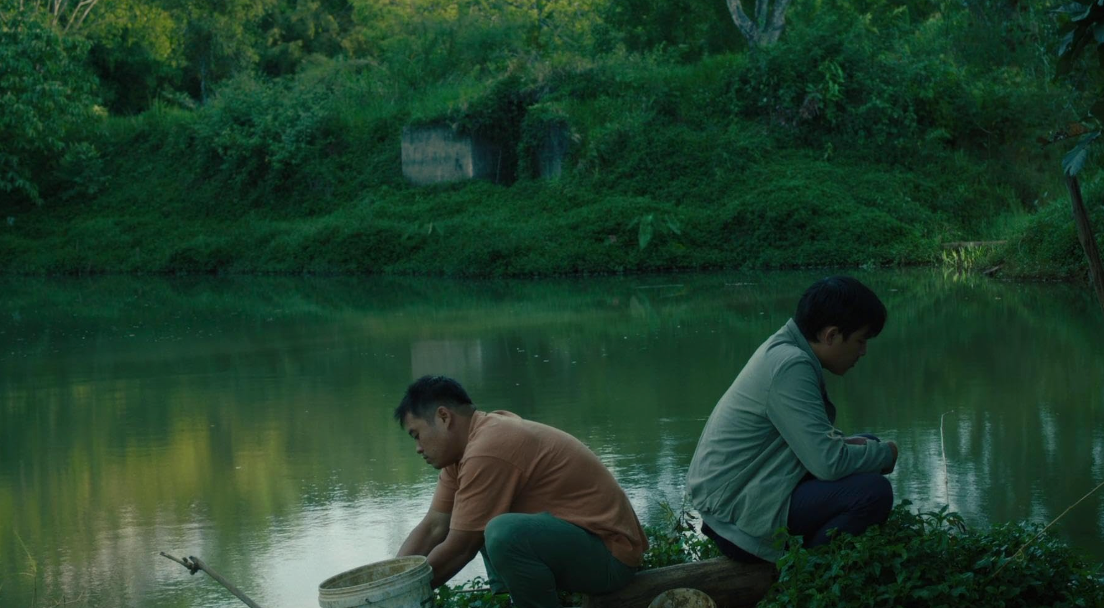 Inside The Yellow Cocoon Shell