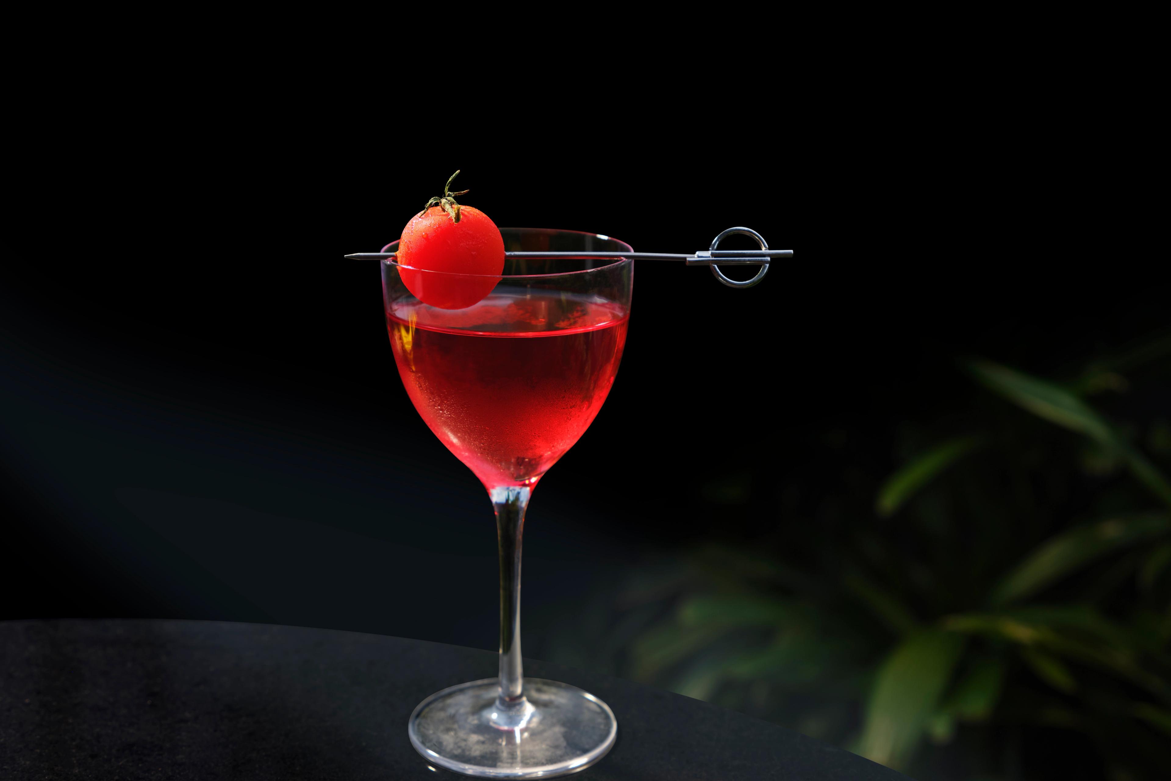 zion cocktails