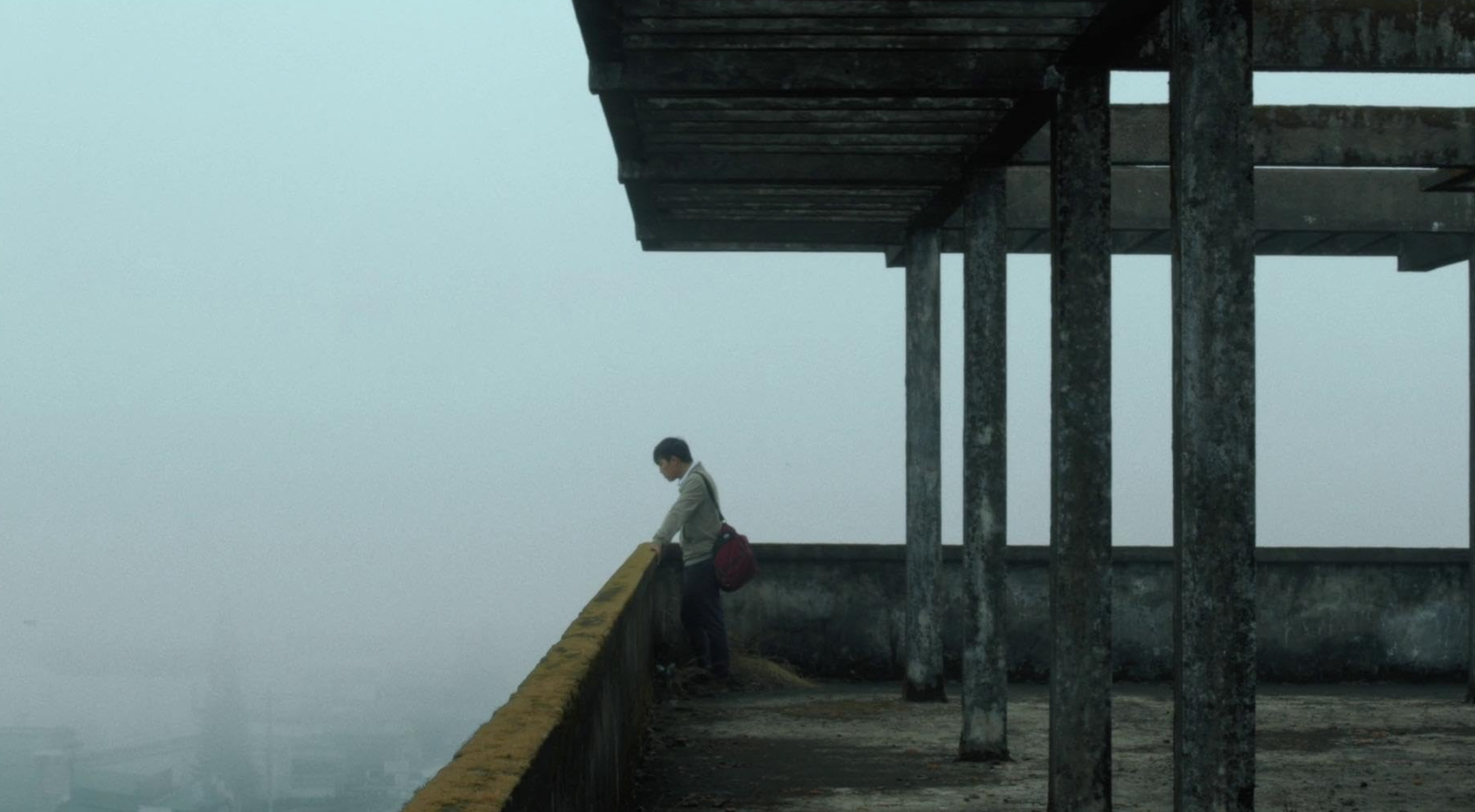 Inside the yellow cocoon shell 