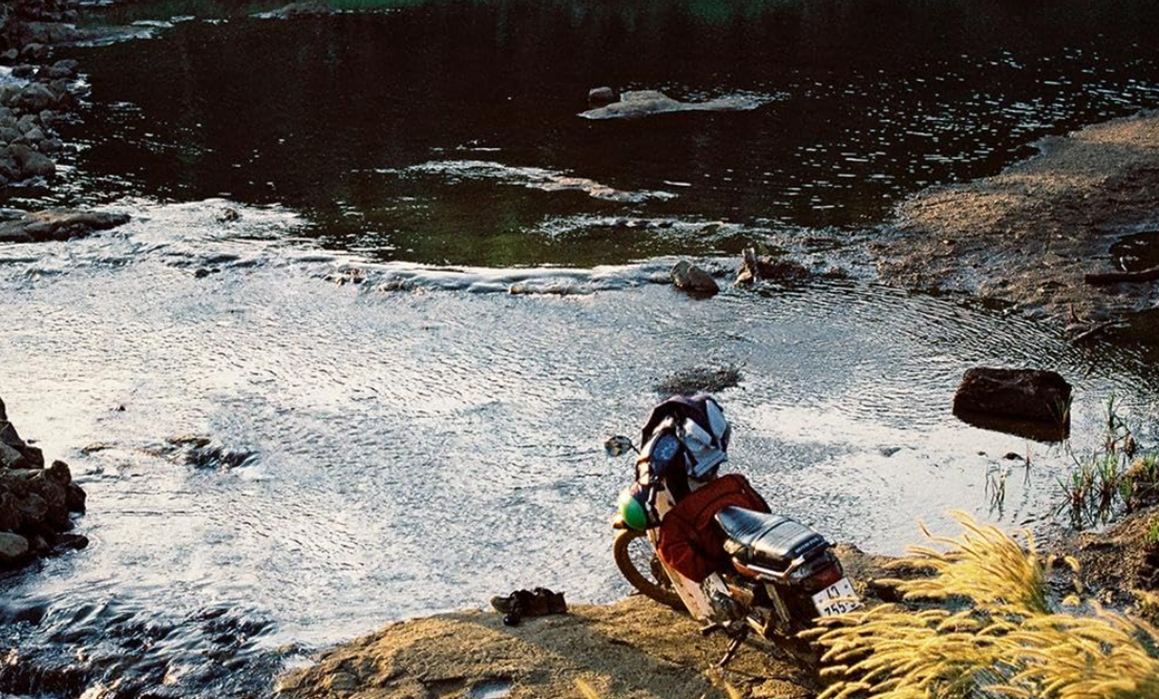 Inside The Yellow Cocoon Shell 
