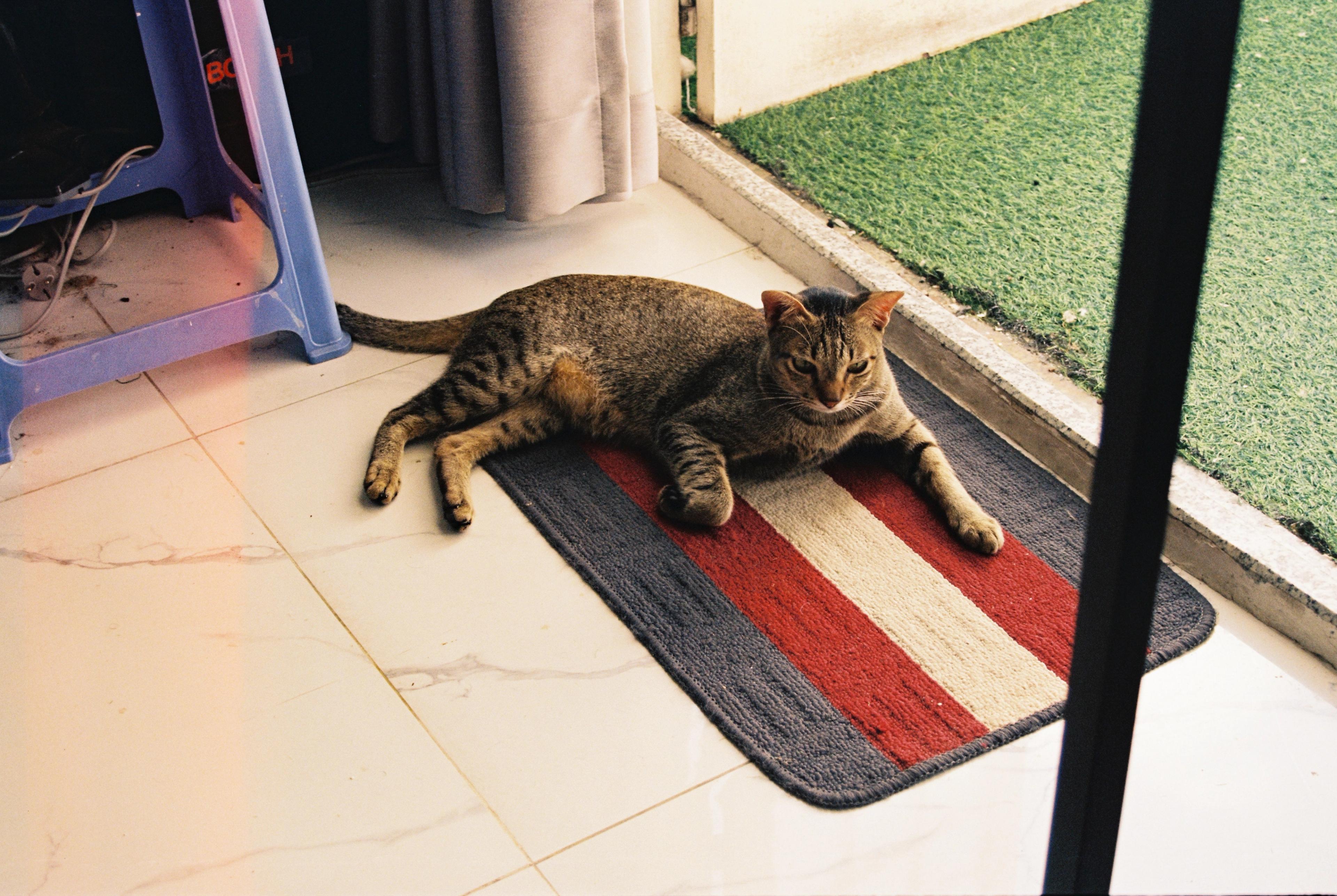 vietnam cat​​​​‌﻿‍﻿​‍​‍‌‍﻿﻿‌﻿​‍‌‍‍‌‌‍‌﻿‌‍‍‌‌‍﻿‍​‍​‍​﻿‍‍​‍​‍‌﻿​﻿‌‍​‌‌‍﻿‍‌‍‍‌‌﻿‌​‌﻿‍‌​‍﻿‍‌‍‍‌‌‍﻿﻿​‍​‍​‍﻿​​‍​‍‌‍‍​‌﻿​‍‌‍‌‌‌‍‌‍​‍​‍​﻿‍‍​‍​‍​‍﻿﻿‌﻿​﻿‌﻿‌​‌﻿‌‌‌‍‌​‌‍‍‌‌‍﻿﻿​‍﻿﻿‌‍‍‌‌‍﻿‍‌﻿‌​‌‍‌‌‌‍﻿‍‌﻿‌​​‍﻿﻿‌‍‌‌‌‍‌​‌‍‍‌‌﻿‌​​‍﻿﻿‌‍﻿‌‌‍﻿﻿‌‍‌​‌‍‌‌​﻿﻿‌‌﻿​​‌﻿​‍‌‍‌‌‌﻿​﻿‌‍‌‌‌‍﻿‍‌﻿‌​‌‍​‌‌﻿‌​‌‍‍‌‌‍﻿﻿‌‍﻿‍​﻿‍﻿‌‍‍‌‌‍‌​​﻿﻿‌‌‍​‌‌‍‌‌​﻿‌﻿‌‍​‍‌‍​‍‌‍​﻿​﻿​‍​﻿‍​​‍﻿‌‌‍‌‌‌‍‌​‌‍‌‌​﻿​‌​‍﻿‌​﻿‌​‌‍‌‍​﻿‌​​﻿‌‌​‍﻿‌‌‍​‍​﻿​‍‌‍​‌​﻿​﻿​‍﻿‌​﻿​​‌‍‌​​﻿‌‌​﻿‍‌‌‍‌​​﻿​‌​﻿‍​​﻿​﻿‌‍​‍​﻿‌​‌‍​﻿​﻿​​​﻿‍﻿‌﻿‌​‌﻿‍‌‌﻿​​‌‍‌‌​﻿﻿‌‌﻿​​‌‍﻿﻿‌﻿​﻿‌﻿‌​​﻿‍﻿‌﻿​​‌‍​‌‌﻿‌​‌‍‍​​﻿﻿‌‌‍​﻿‌‍﻿﻿‌‍﻿‍‌﻿‌​‌‍‌‌‌‍﻿‍‌﻿‌​​‍‌‌​﻿‌‌‌​​‍‌‌﻿﻿‌‍‍﻿‌‍‌‌‌﻿‍‌​‍‌‌​﻿​﻿‌​‌​​‍‌‌​﻿​﻿‌​‌​​‍‌‌​﻿​‍​﻿​‍​﻿‍‌​﻿‍‌‌‍​‍​﻿‍​‌‍​‍‌‍​﻿​﻿‍​‌‍‌​​﻿‍‌​﻿​‍​﻿‌﻿​﻿‌​​‍‌‌​﻿​‍​﻿​‍​‍‌‌​﻿‌‌‌​‌​​‍﻿‍‌‍​‌‌‍﻿​‌﻿‌​​﻿﻿﻿‌‍​‍‌‍​‌‌﻿​﻿‌‍‌‌‌‌‌‌‌﻿​‍‌‍﻿​​﻿﻿‌​‍‌‌​﻿​‍‌​‌‍‌﻿​﻿‌﻿‌​‌﻿‌‌‌‍‌​‌‍‍‌‌‍﻿﻿​‍‌‍‌‍‍‌‌‍‌​​﻿﻿‌‌‍​‌‌‍‌‌​﻿‌﻿‌‍​‍‌‍​‍‌‍​﻿​﻿​‍​﻿‍​​‍﻿‌‌‍‌‌‌‍‌​‌‍‌‌​﻿​‌​‍﻿‌​﻿‌​‌‍‌‍​﻿‌​​﻿‌‌​‍﻿‌‌‍​‍​﻿​‍‌‍​‌​﻿​﻿​‍﻿‌​﻿​​‌‍‌​​﻿‌‌​﻿‍‌‌‍‌​​﻿​‌​﻿‍​​﻿​﻿‌‍​‍​﻿‌​‌‍​﻿​﻿​​​‍‌‍‌﻿‌​‌﻿‍‌‌﻿​​‌‍‌‌​﻿﻿‌‌﻿​​‌‍﻿﻿‌﻿​﻿‌﻿‌​​‍‌‍‌﻿​​‌‍​‌‌﻿‌​‌‍‍​​﻿﻿‌‌‍​﻿‌‍﻿﻿‌‍﻿‍‌﻿‌​‌‍‌‌‌‍﻿‍‌﻿‌​​‍‌‌​﻿‌‌‌​​‍‌‌﻿﻿‌‍‍﻿‌‍‌‌‌﻿‍‌​‍‌‌​﻿​﻿‌​‌​​‍‌‌​﻿​﻿‌​‌​​‍‌‌​﻿​‍​﻿​‍​﻿‍‌​﻿‍‌‌‍​‍​﻿‍​‌‍​‍‌‍​﻿​﻿‍​‌‍‌​​﻿‍‌​﻿​‍​﻿‌﻿​﻿‌​​‍‌‌​﻿​‍​﻿​‍​‍‌‌​﻿‌‌‌​‌​​‍﻿‍‌‍​‌‌‍﻿​‌﻿‌​​‍‌‍‌﻿​​‌‍‌‌‌﻿​‍‌﻿​﻿‌﻿​​‌‍‌‌‌‍​﻿‌﻿‌​‌‍‍‌‌﻿‌‍‌‍‌‌​﻿﻿‌‌﻿​​‌﻿‌‌‌‍​‍‌‍﻿​‌‍‍‌‌﻿​﻿‌‍‍​‌‍‌‌‌‍‌​​‍​‍‌﻿﻿‌