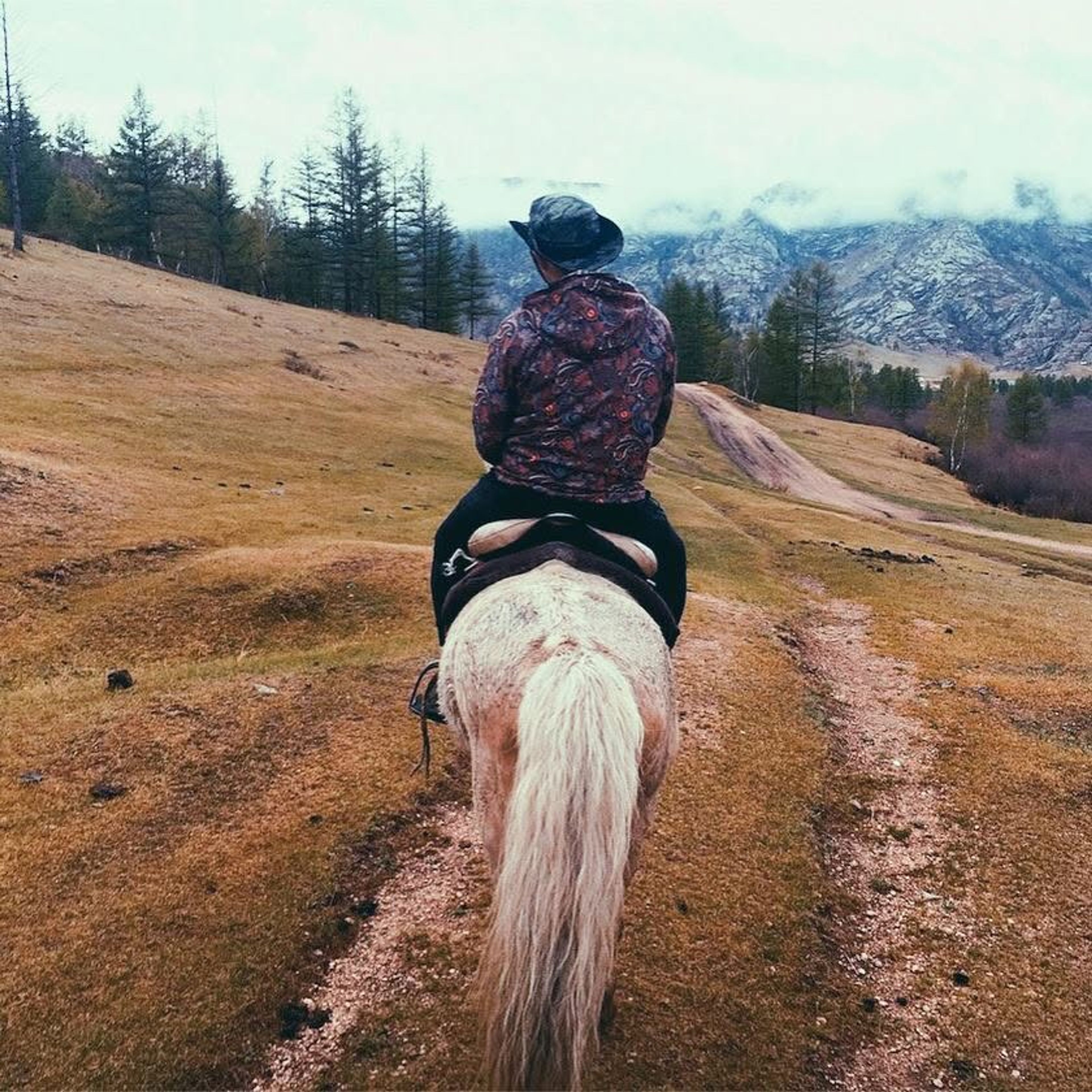 horseback boy
