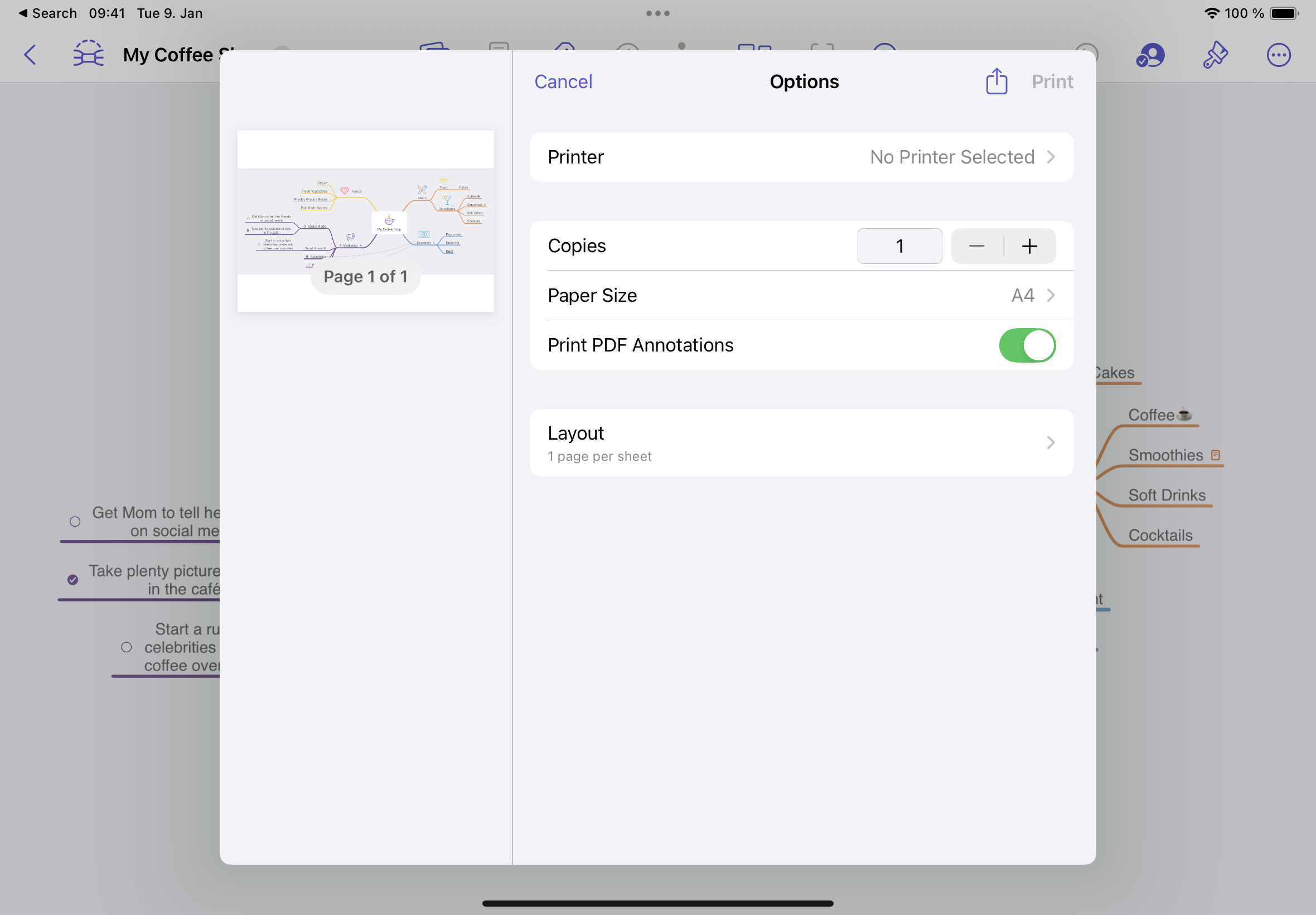 Print settings on iOS