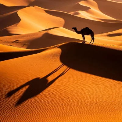 Seedream 4.5 - Desert Dunes