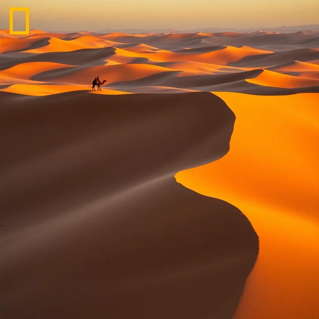 FLUX Schnell - Desert Dunes