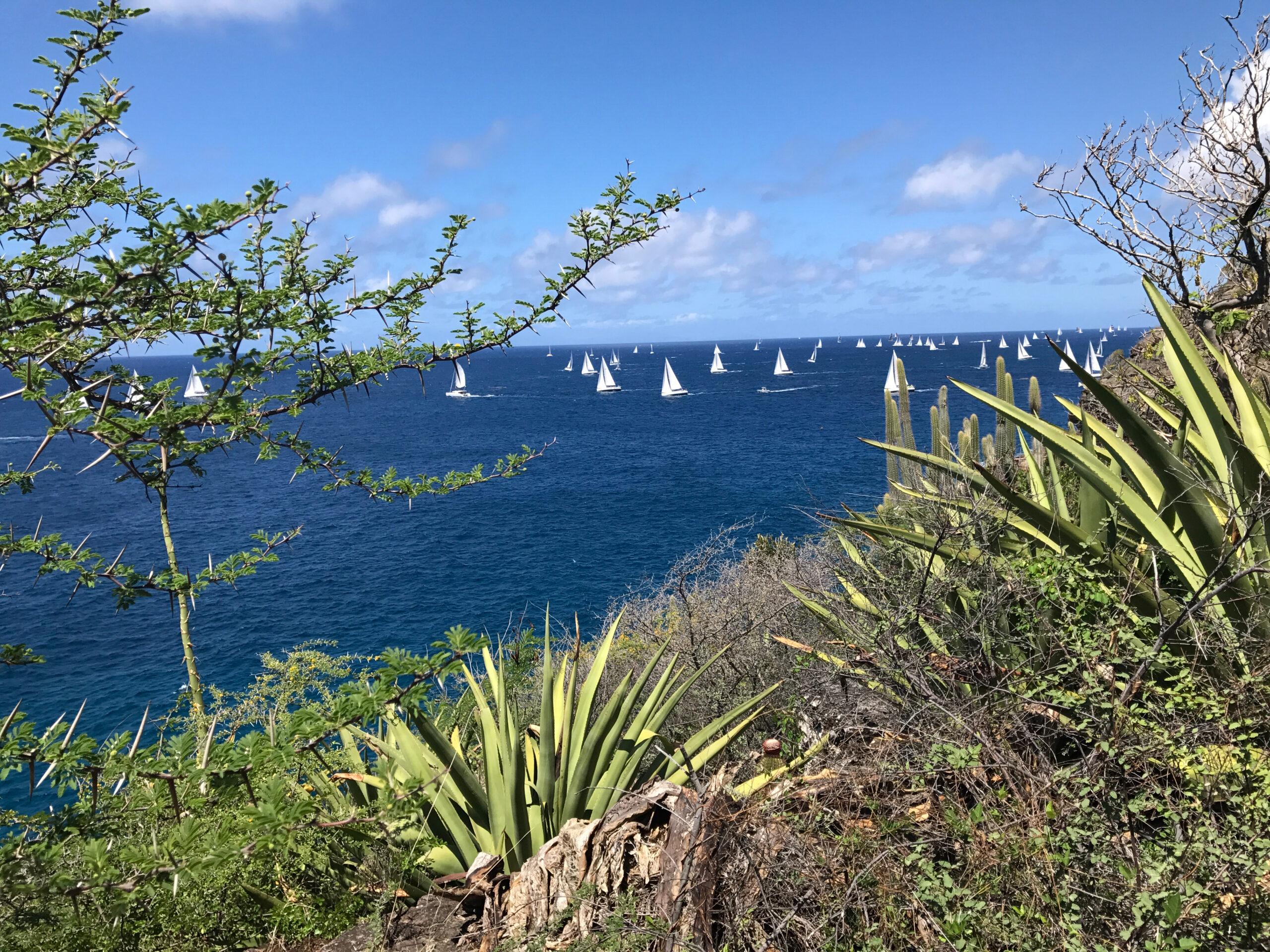 Sails dot the waters around Antigua, during Sailing Week, founded in 1968./Shutterstock