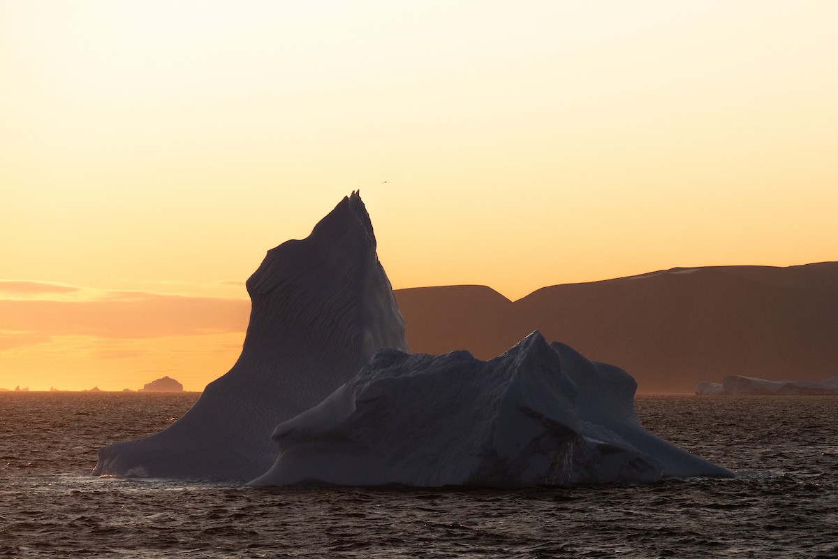 Iceberg at twilight, Greenland/ Denis Elterman
