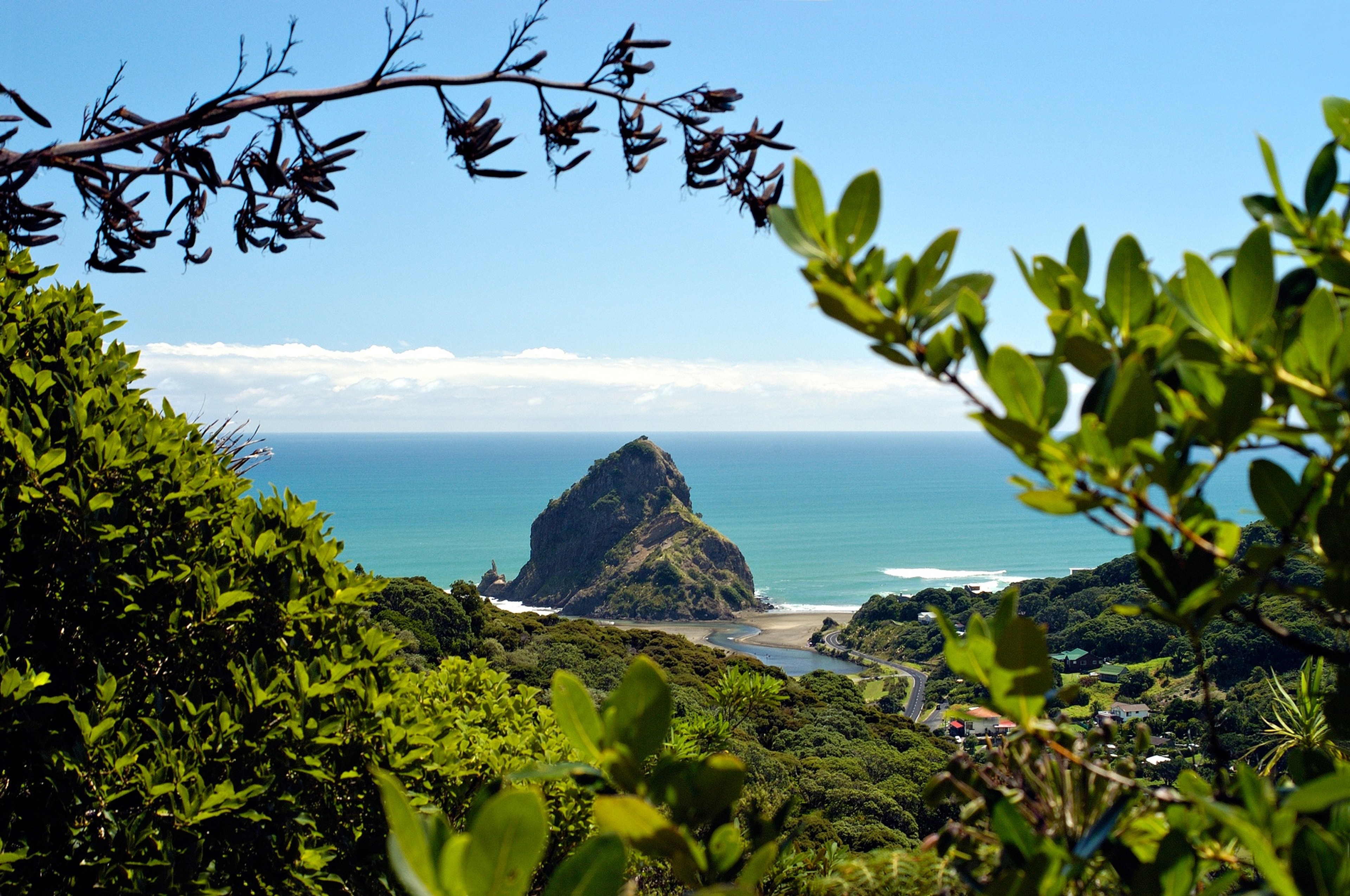 Auckland's Piha Beach/Scott Venning