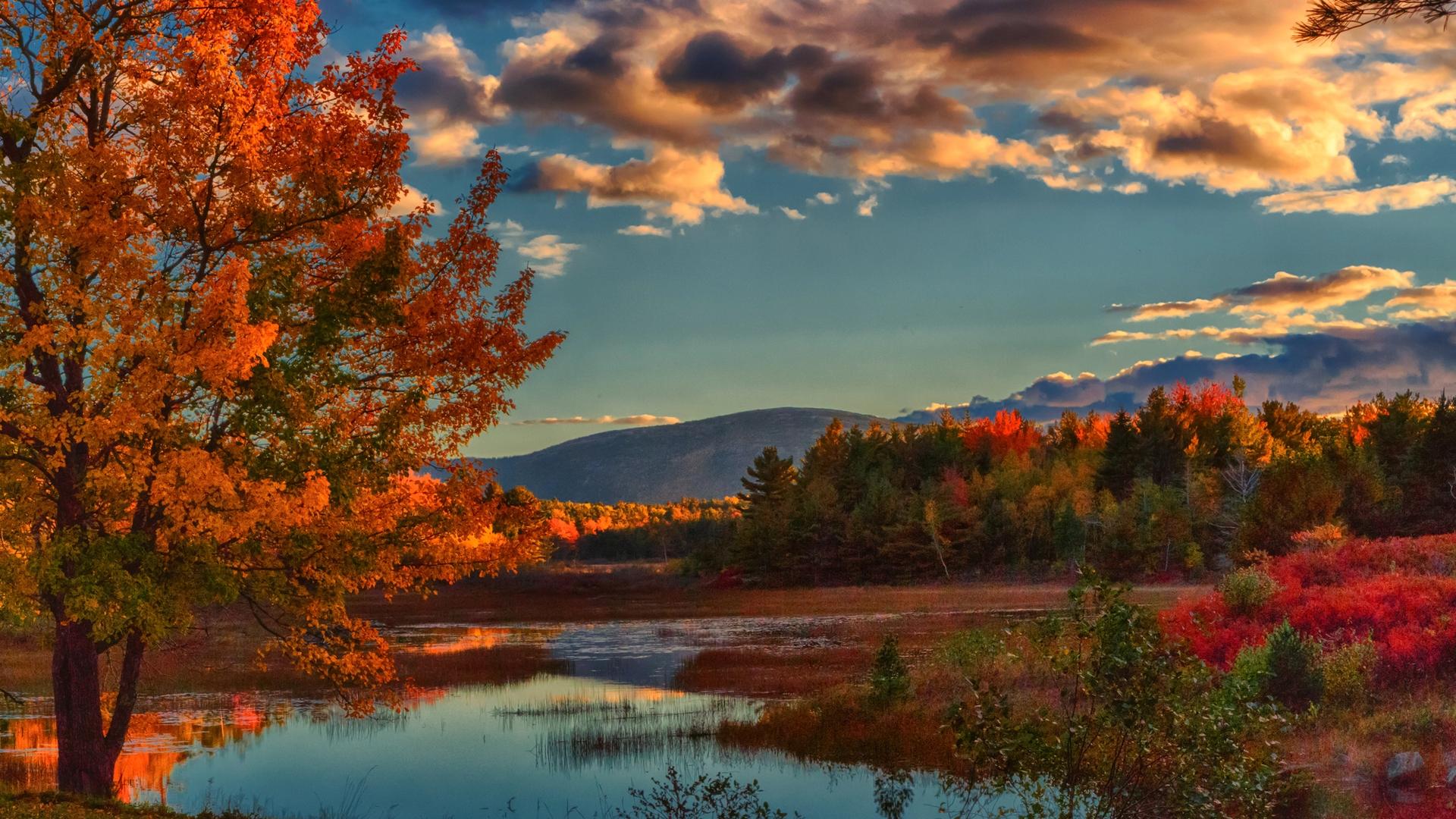 Color Your World by Following Fall in Canada and New England