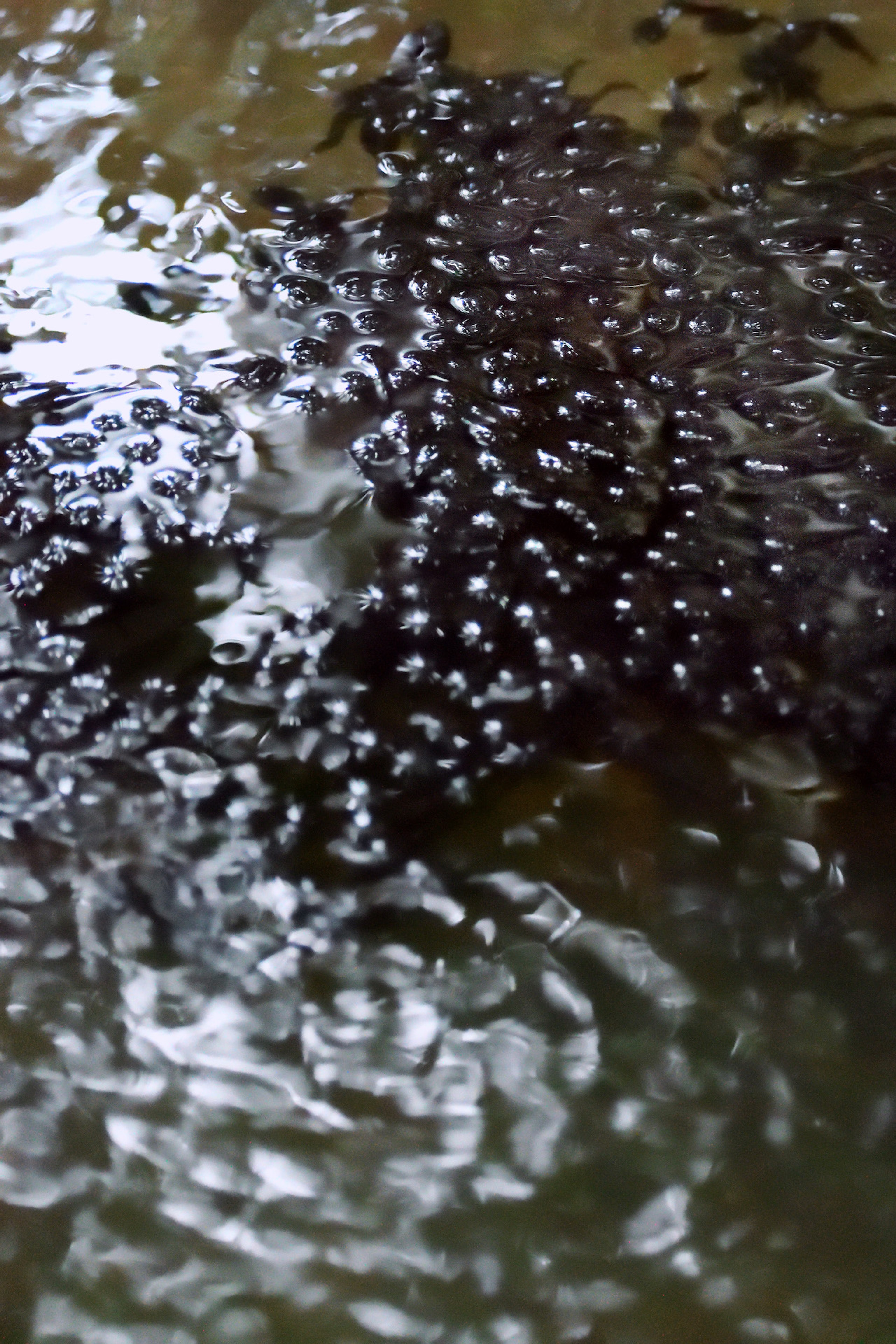 Photo by Luca Trevisani, Cartography Magazine