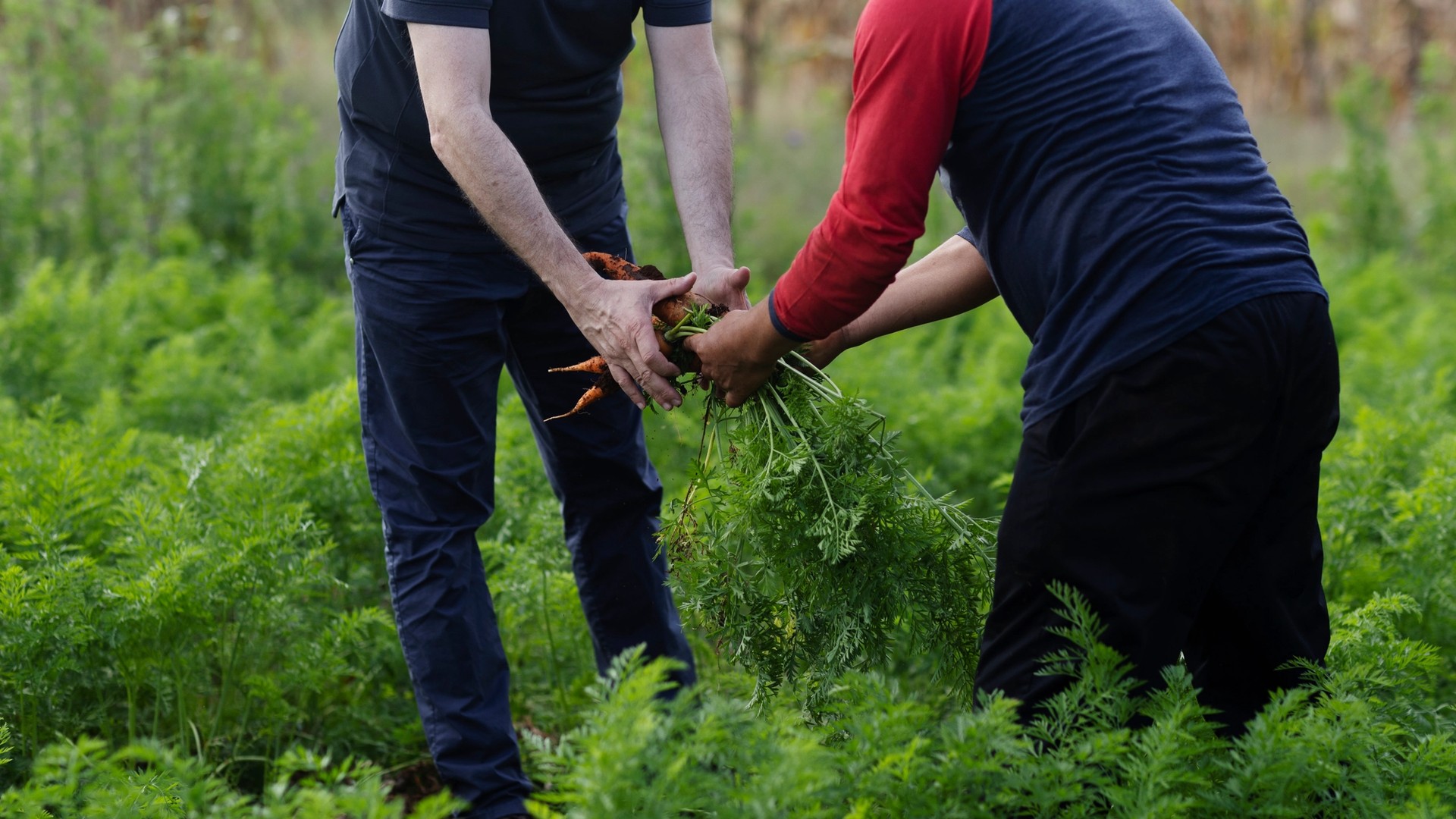 Sustainability in the Galápagos: Local Products Elevate Ecuadorian Cuisine