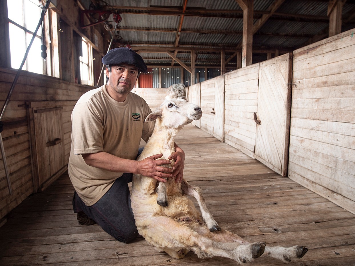 Chilean scenes charmed the filmmaker./Ross Vernon McDonald