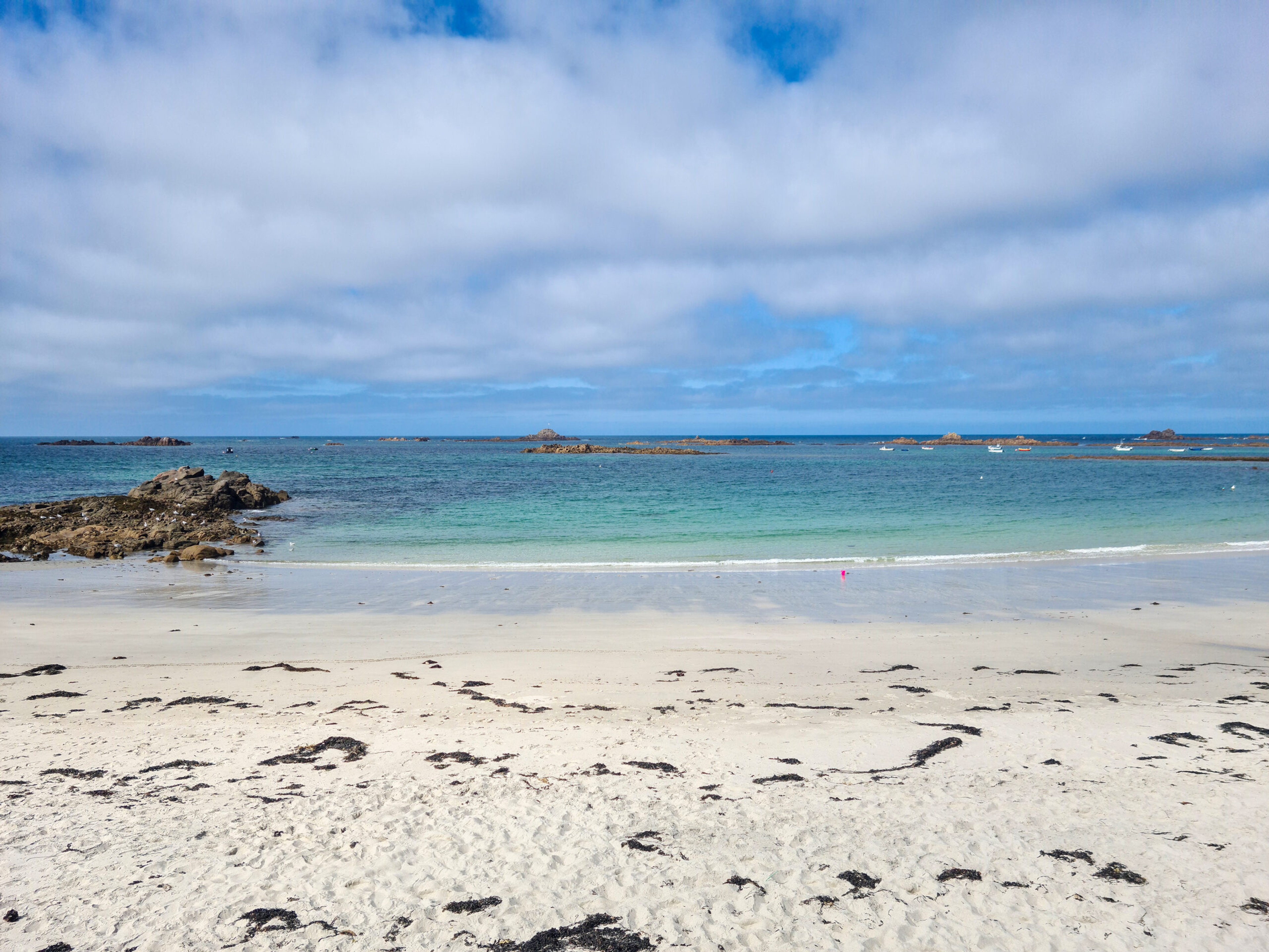 Seaweed may seem like a blight on the beach, but in Guernsey, it's considered a superfood./Shutterstock