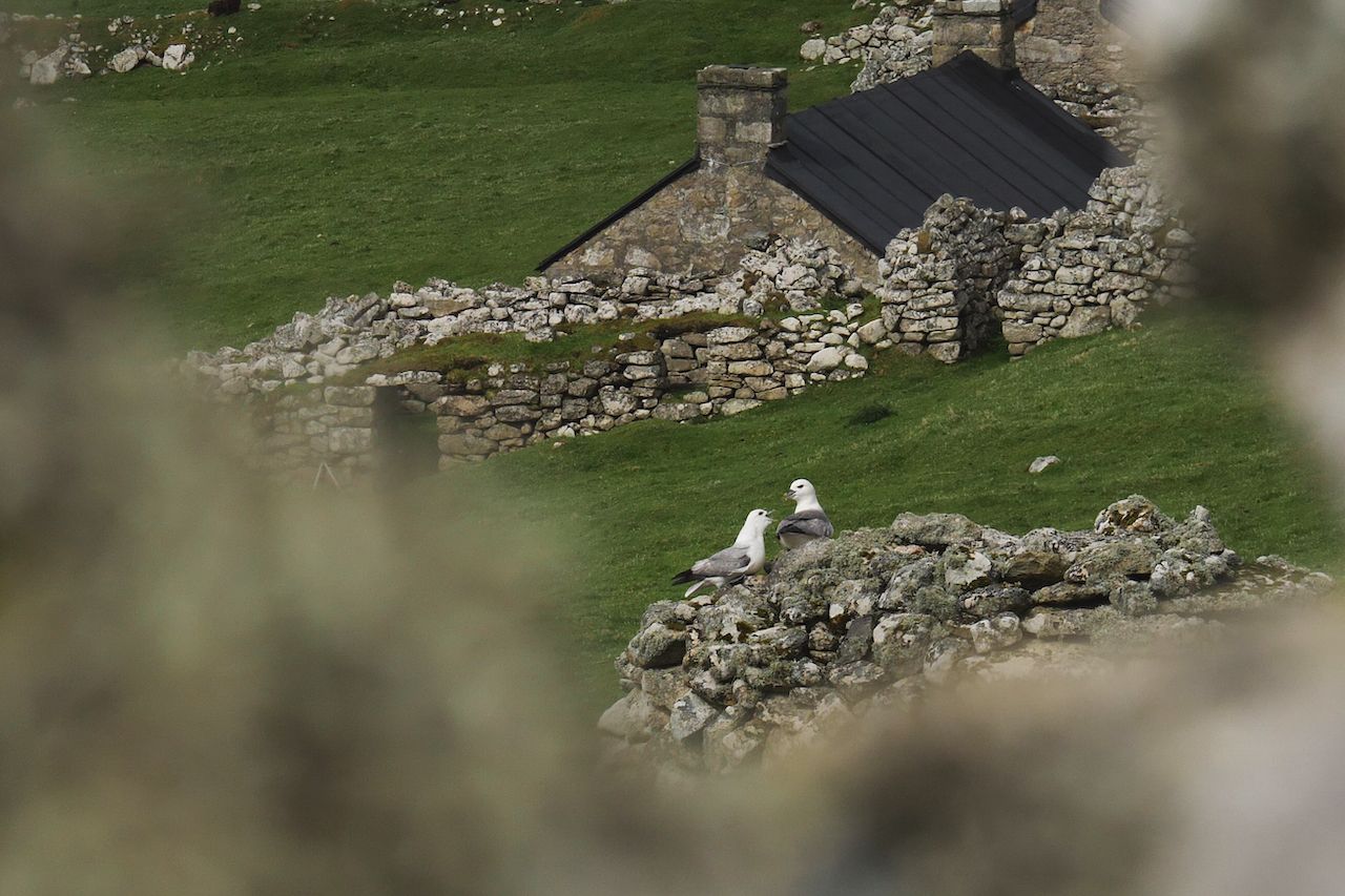 What to Do in the Outer Hebrides: A Behind-the-Scenes Look at St Kilda