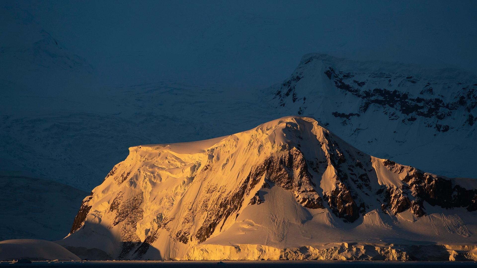 How to Choose Your Cruise: Antarctica