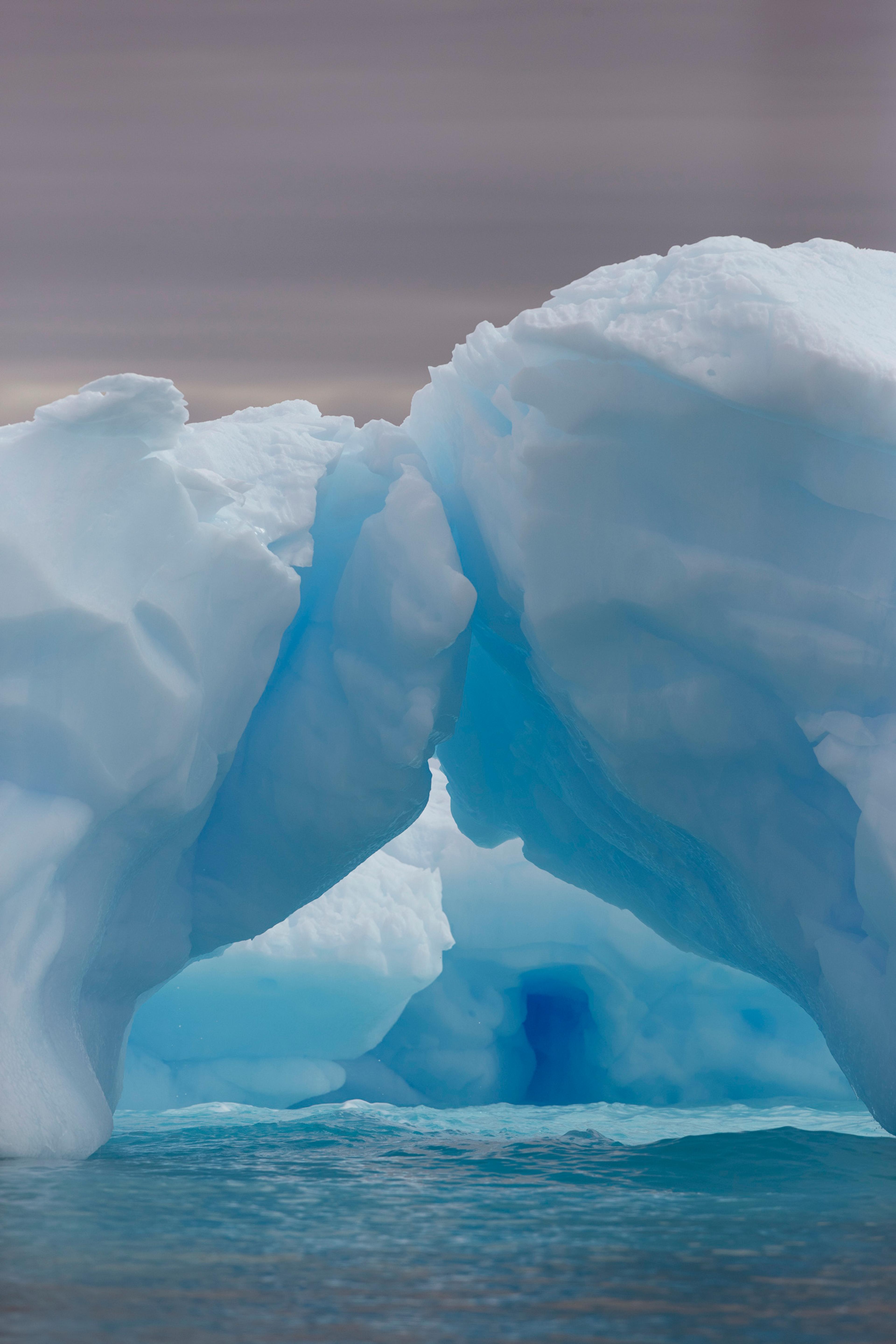 Marvelous sculpture gardens, their icy whites and translucent blues luminous in the inky sea./Lucia Griggi