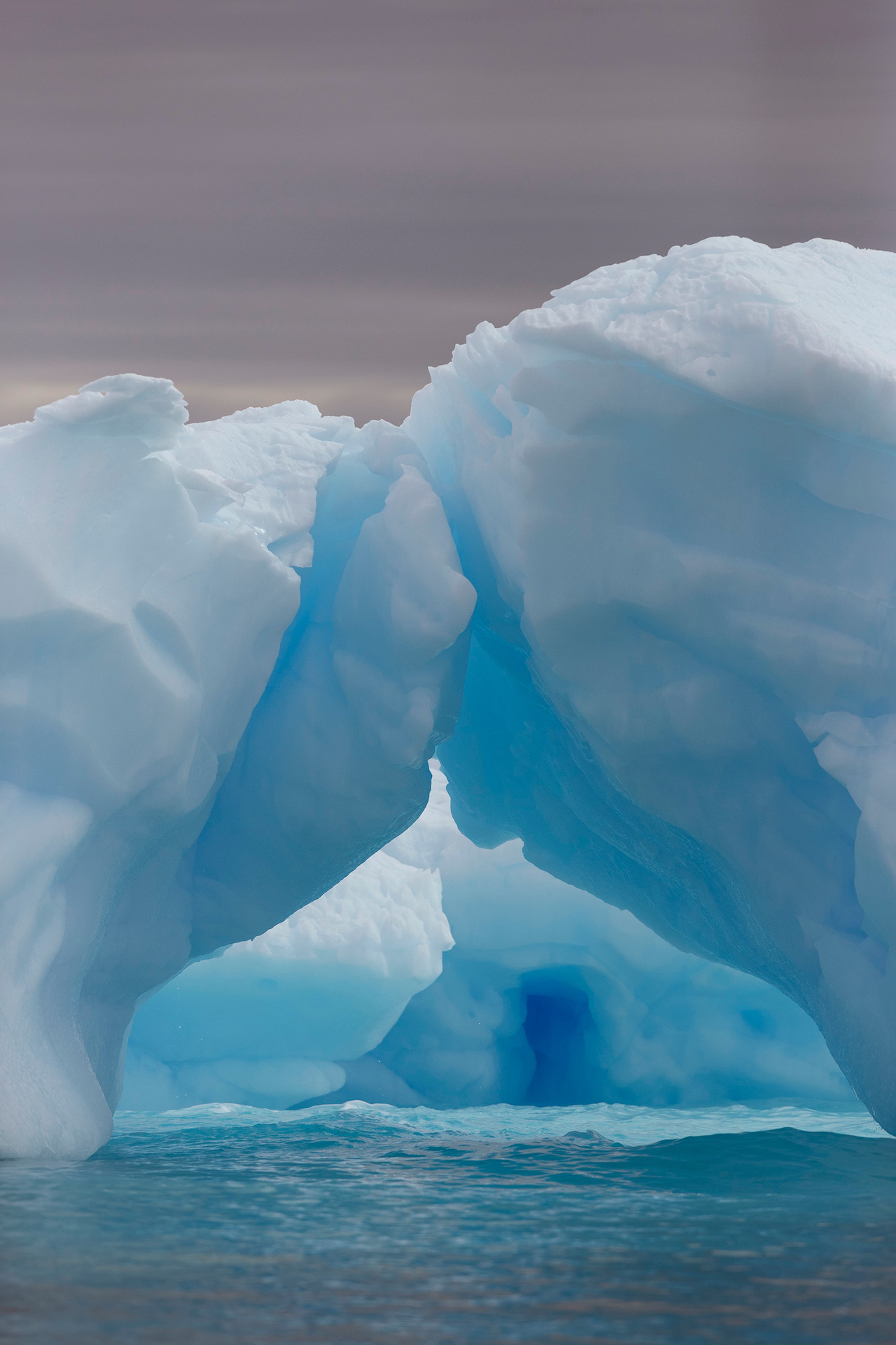 Marvelous sculpture gardens, their icy whites and translucent blues luminous in the inky sea./Lucia Griggi