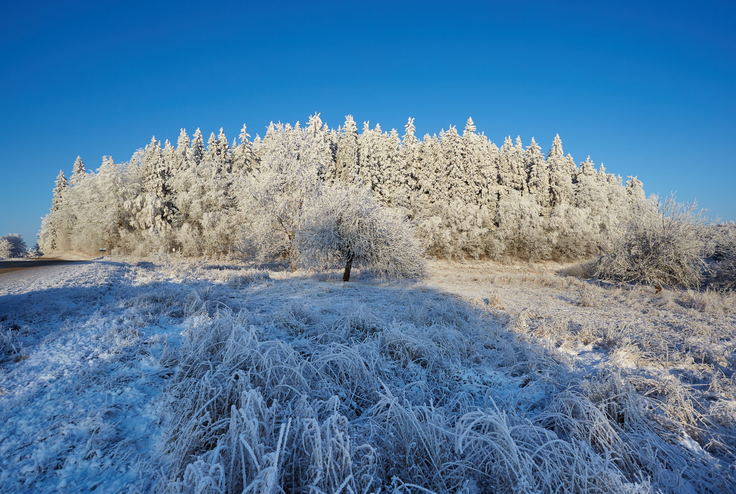 Great Egg Hill, or Suur Munamägi, is only slightly taller than London's Shard./Wikimedia Commons by Vaido Otsar