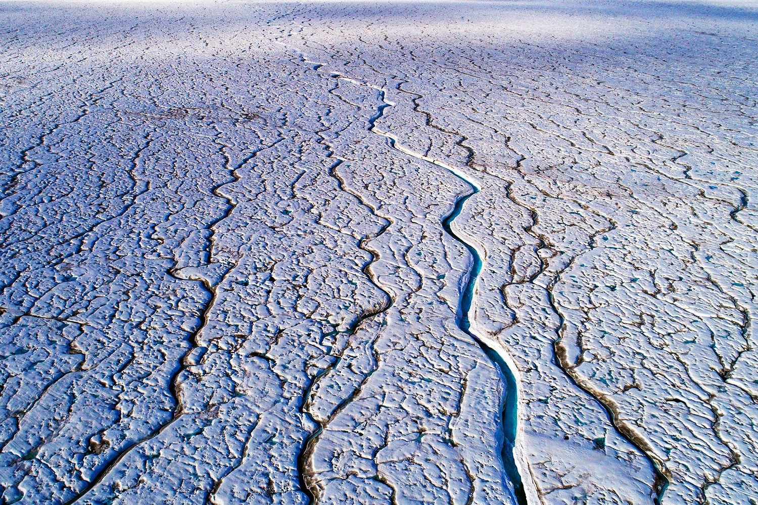 Vein-like meltwater channels decorate the top of the Brasvellbreen Glacier/Denis Elterman