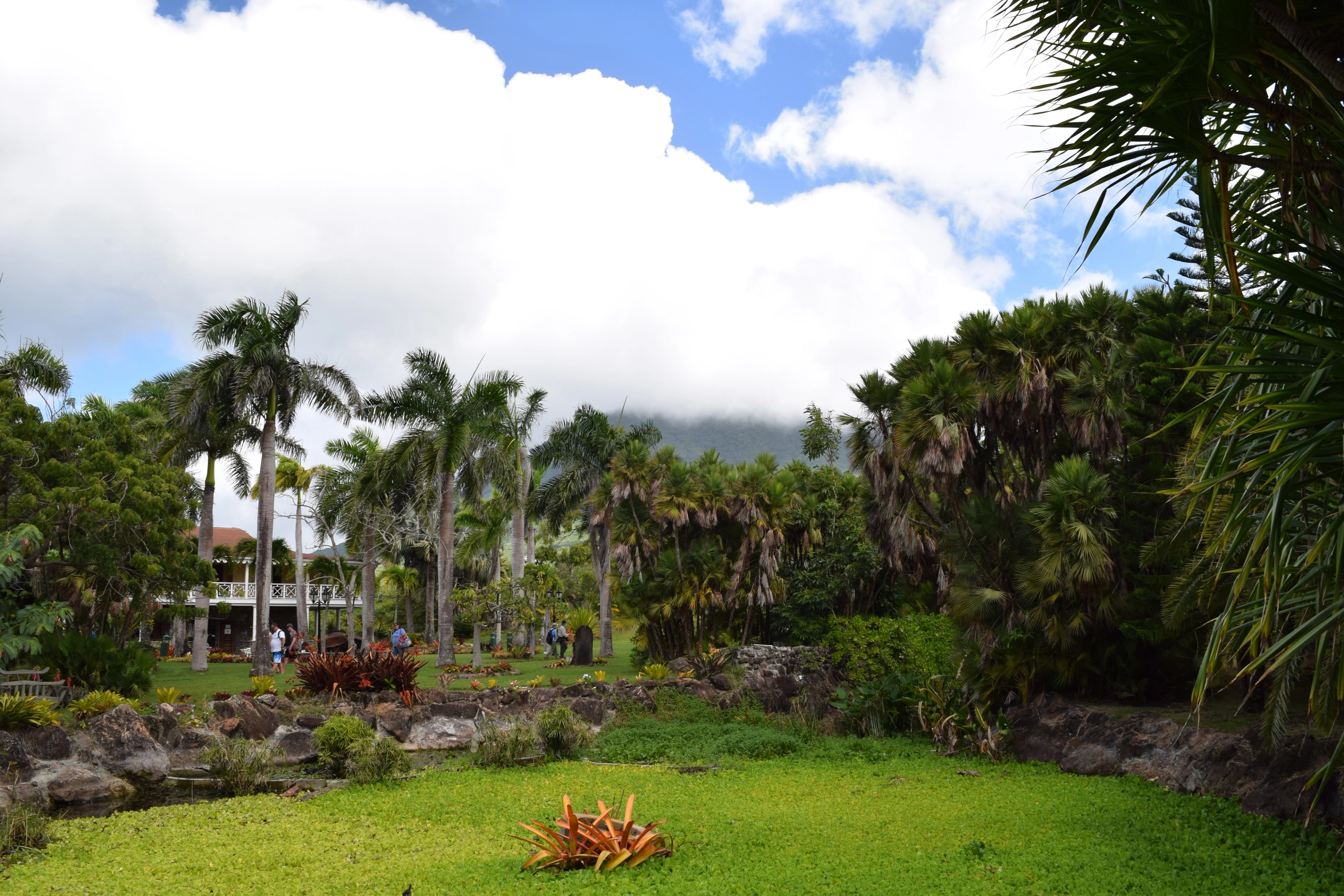 The lush landscapes of the Botanical Gardens of Nevis, with cloud-shrouded Nevis Peak in the distance./Jorge Oliver