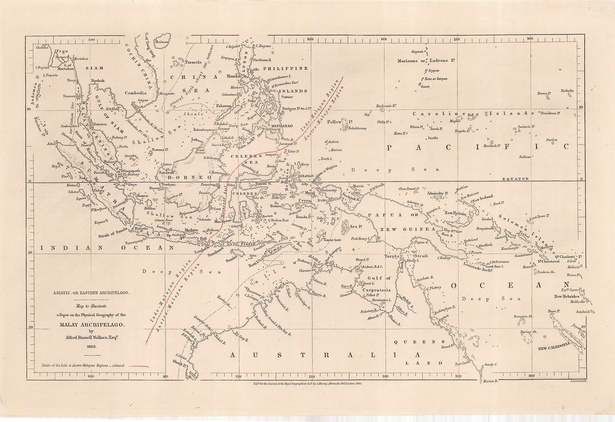 The Wallace Line divides the Indonesian islands of Bali and Lombok/© Royal Geographical Society (with IBG)