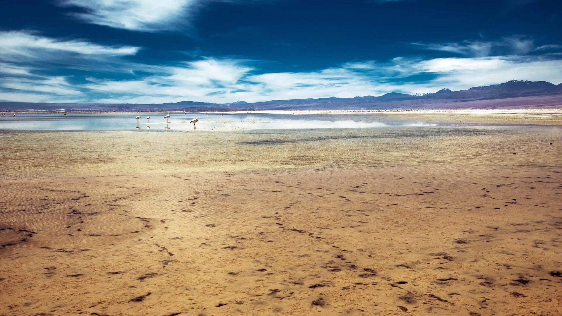 How to Choose Your Cruise: South America