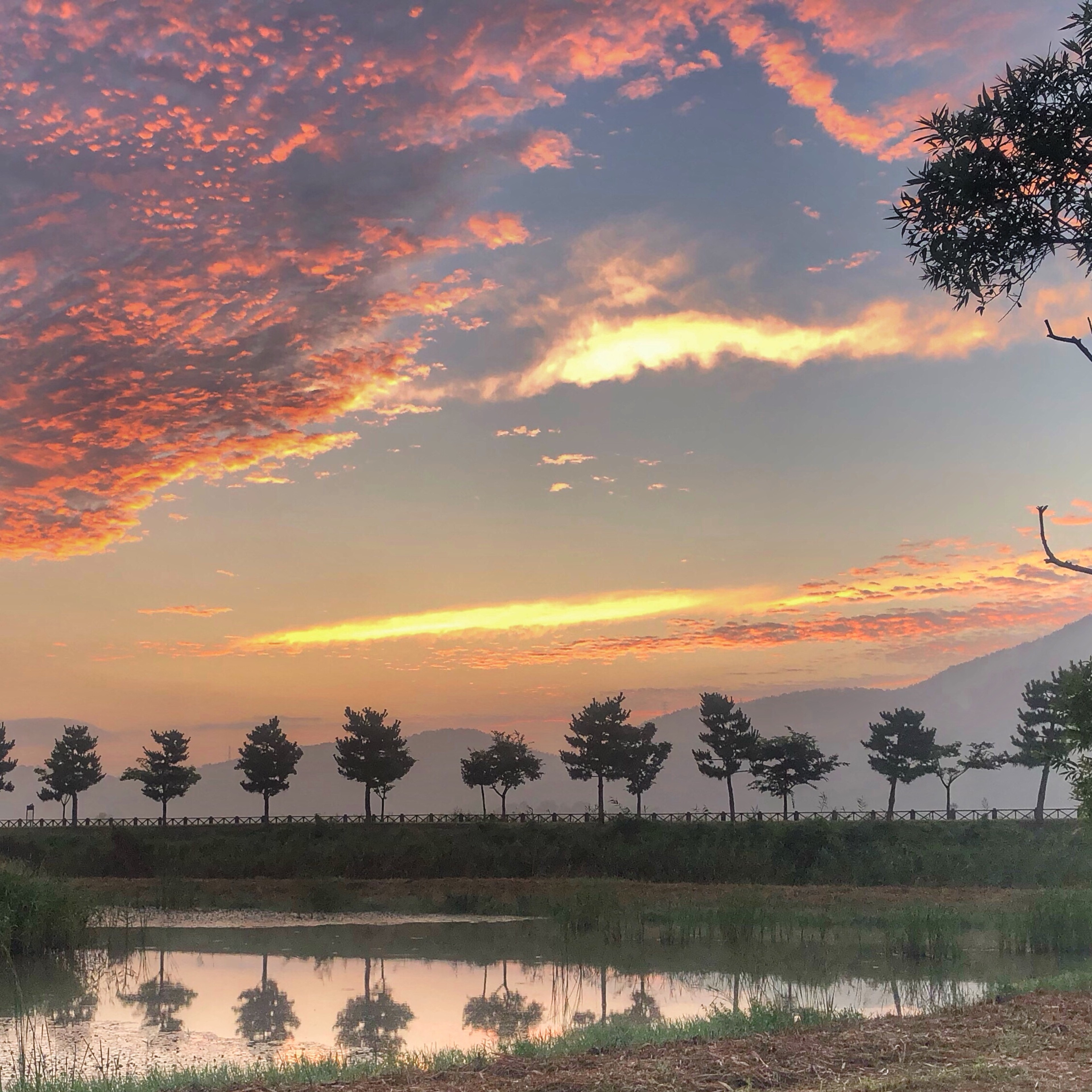 Suncheonman Bay's Wetland Reserve/Silversea photo by Carolyn Spencer Brown