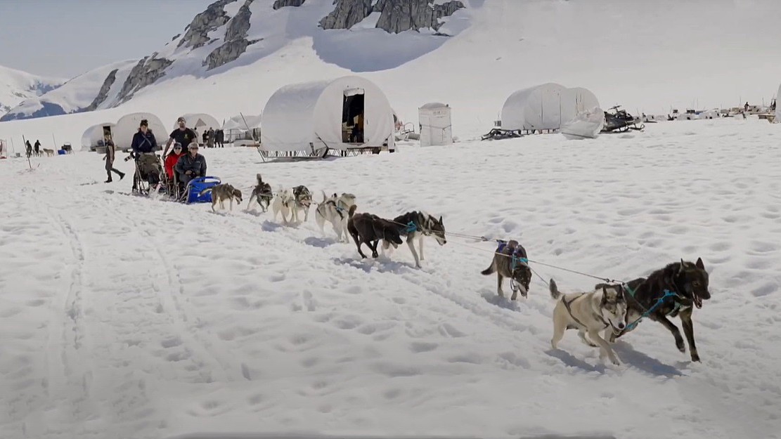 On, Huskies! When Minds Turn to Mush, Alaska’s Mendenhall Glacier Is the Place