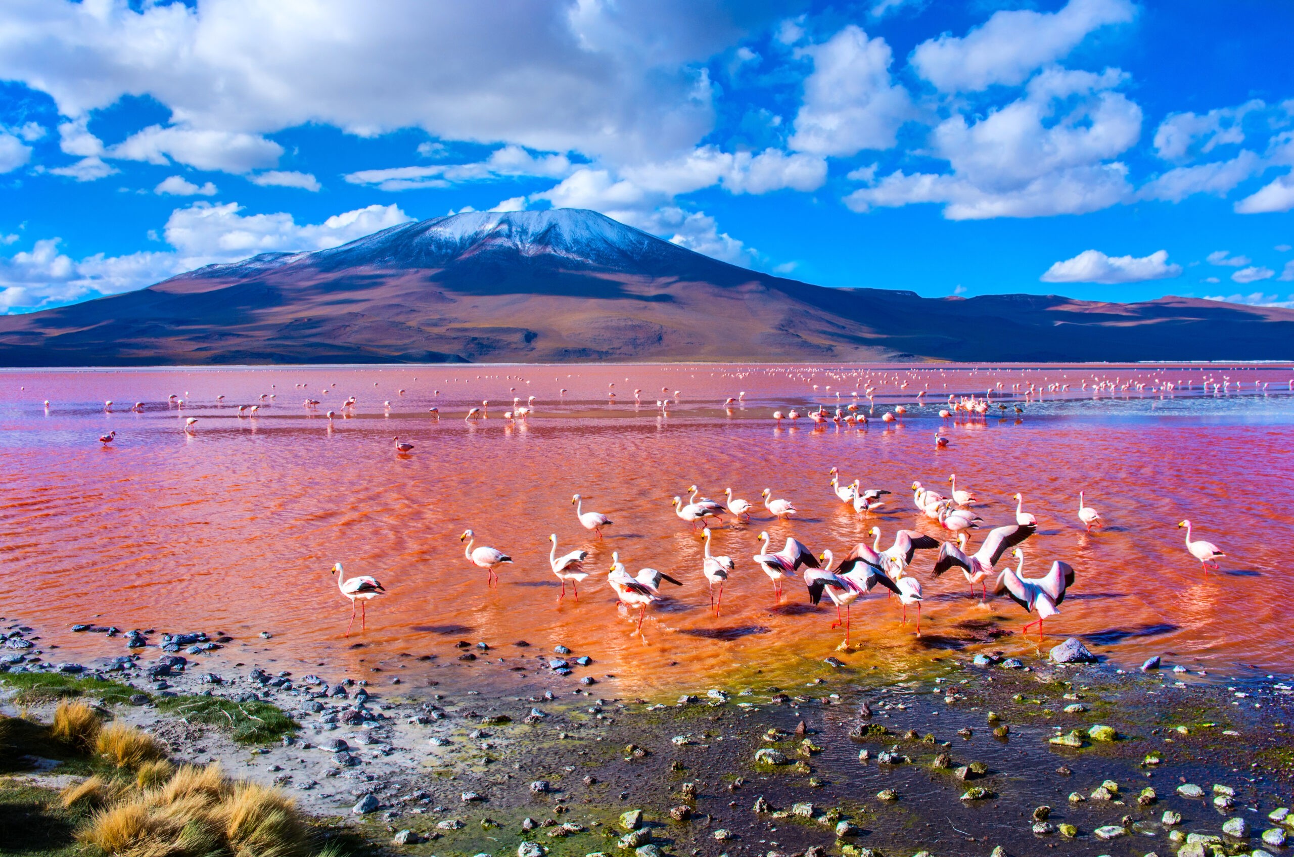 Uyuni, Bolivia/Shutterstock