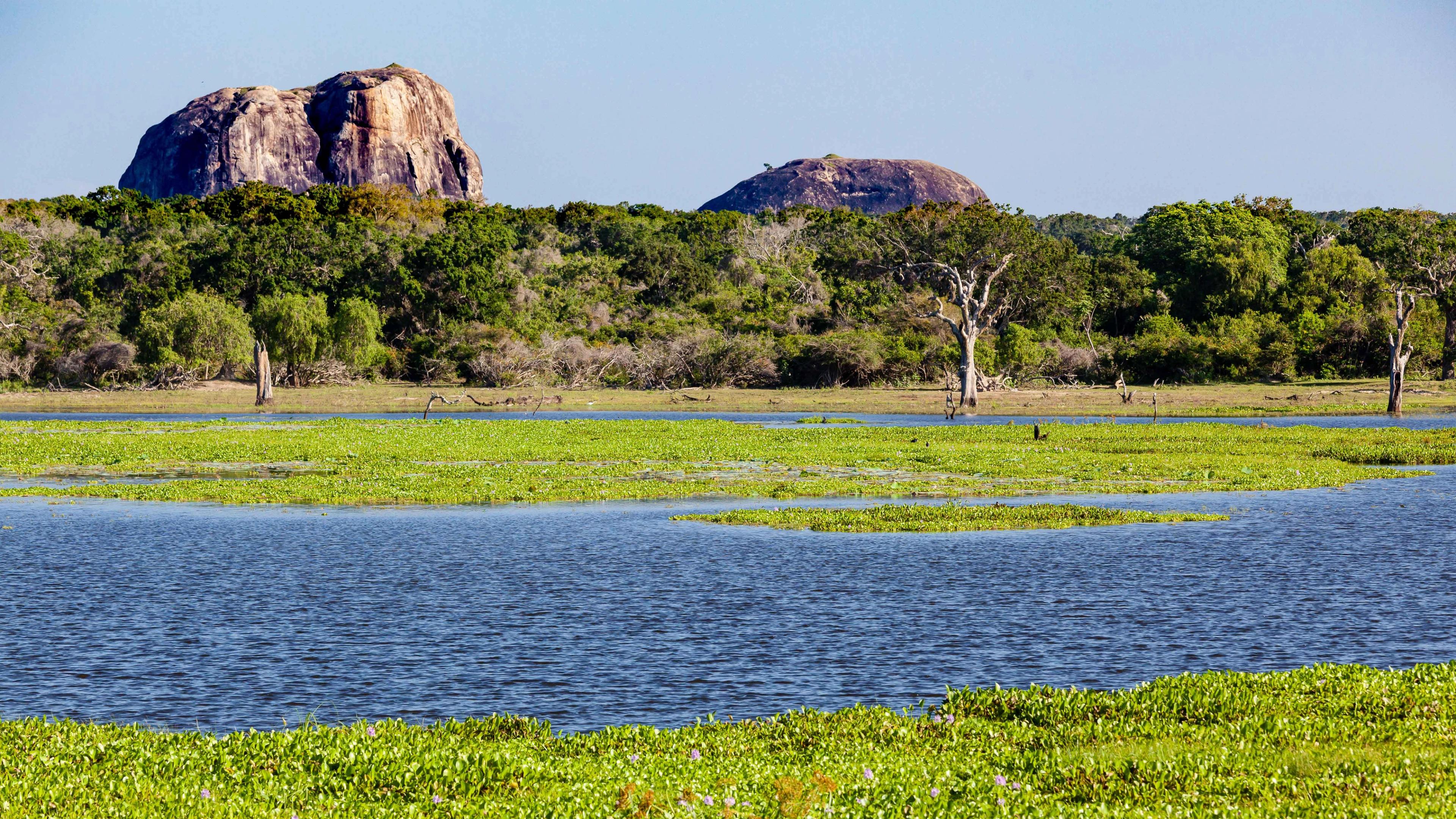 Yala National Park is Sri Lanka's most visited nature preserve./David Jaffe