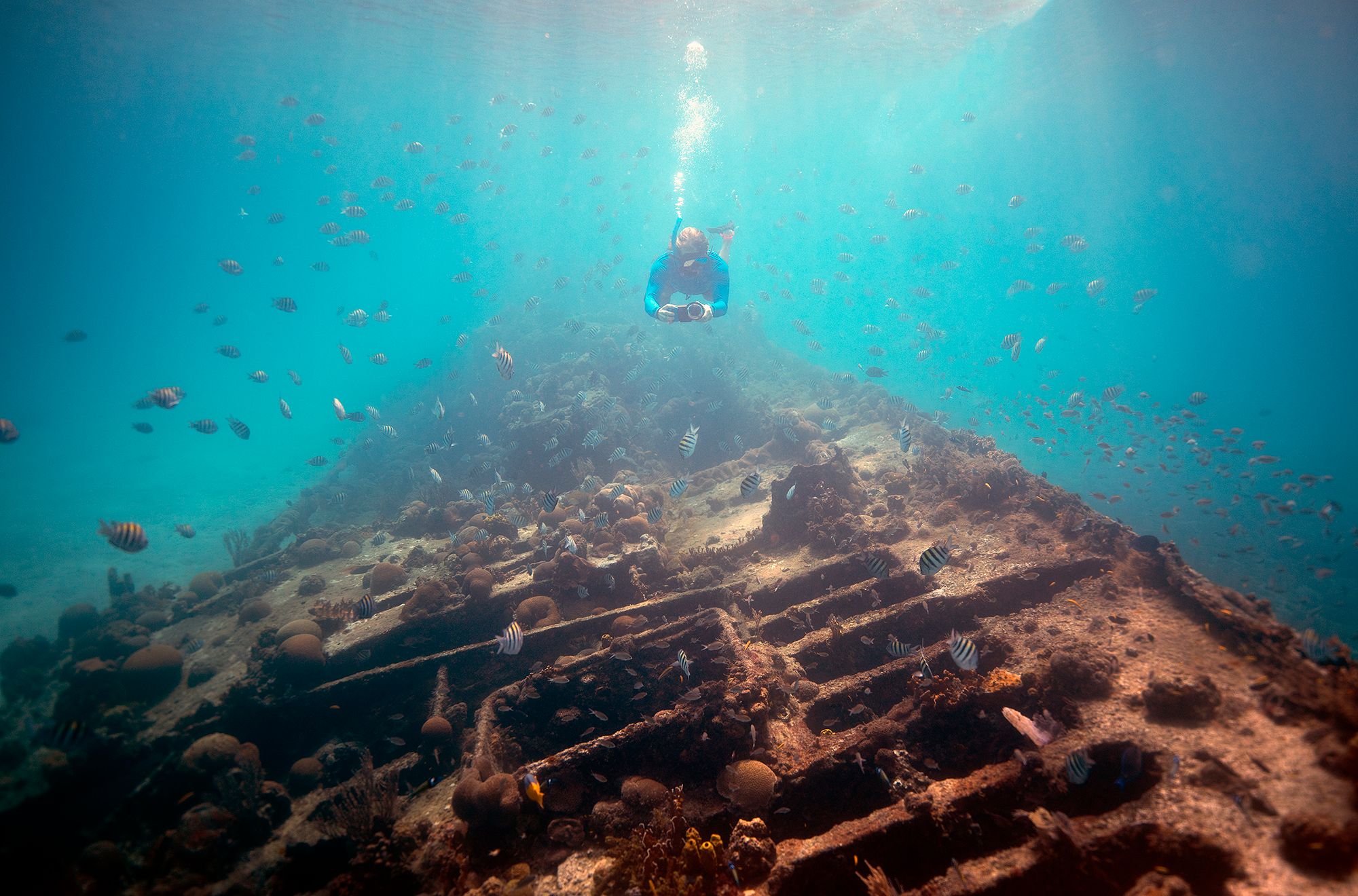 The Beauty of Bathsheba: Discovering the Charms of Barbados
