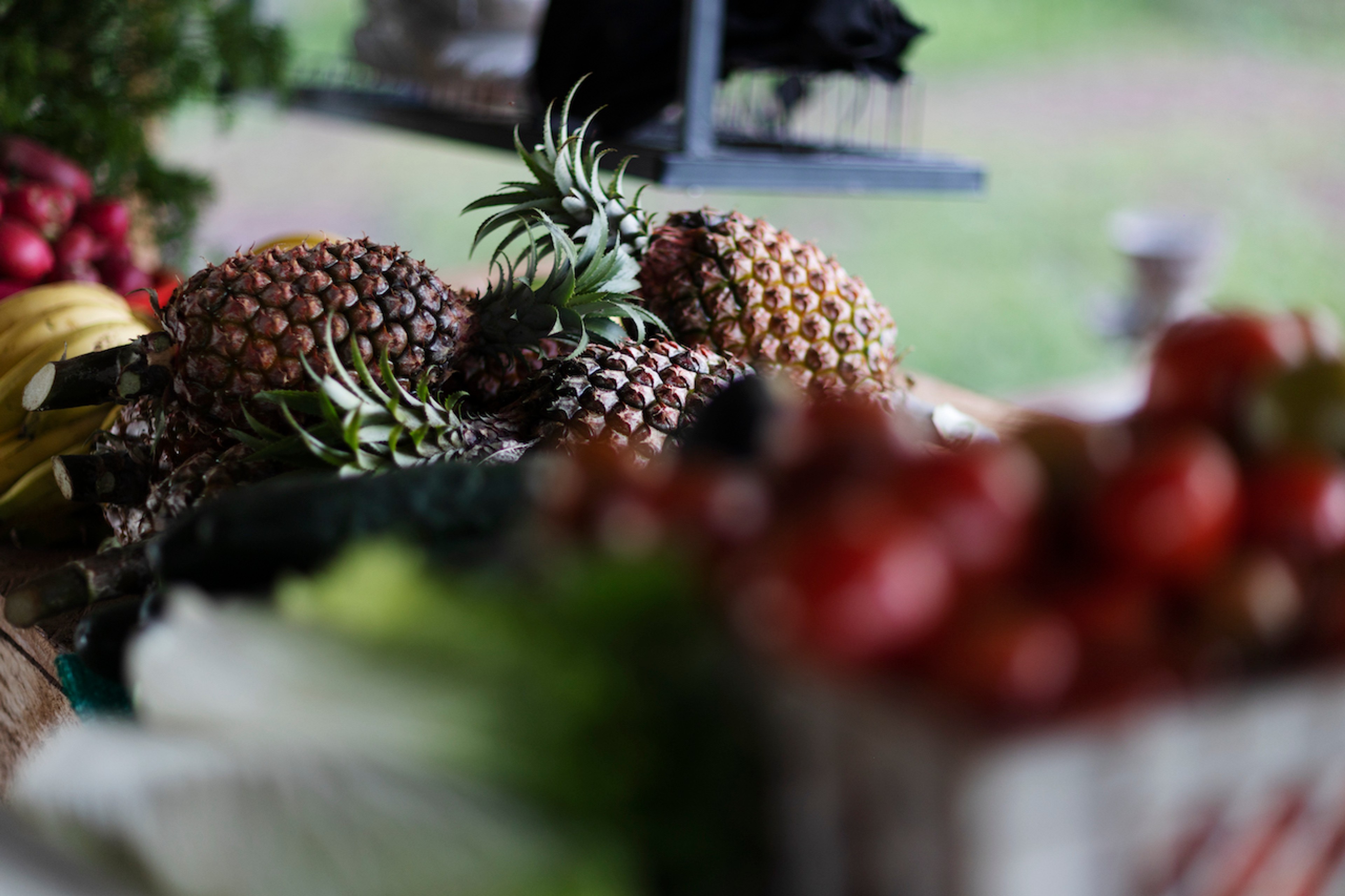 Fruits and vegetables are among the foods grown locally in the Galápagos./Lucia Griggi