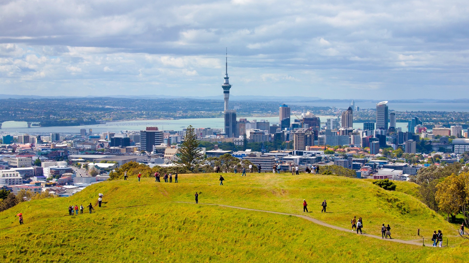 Our Insider’s Guide: New Zealand’s Auckland
