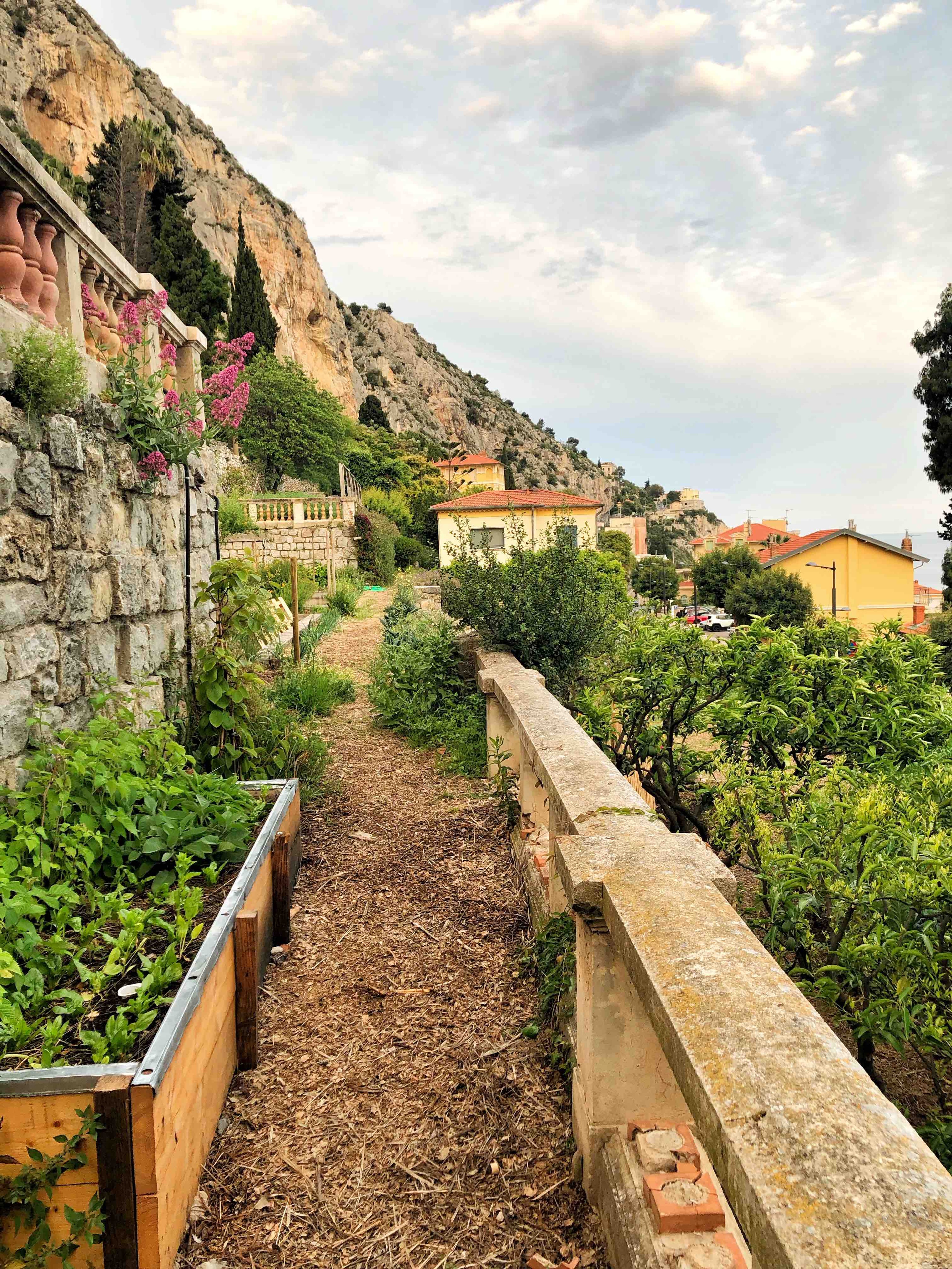 The gardens of Mirazur./Photo by Adam Sachs