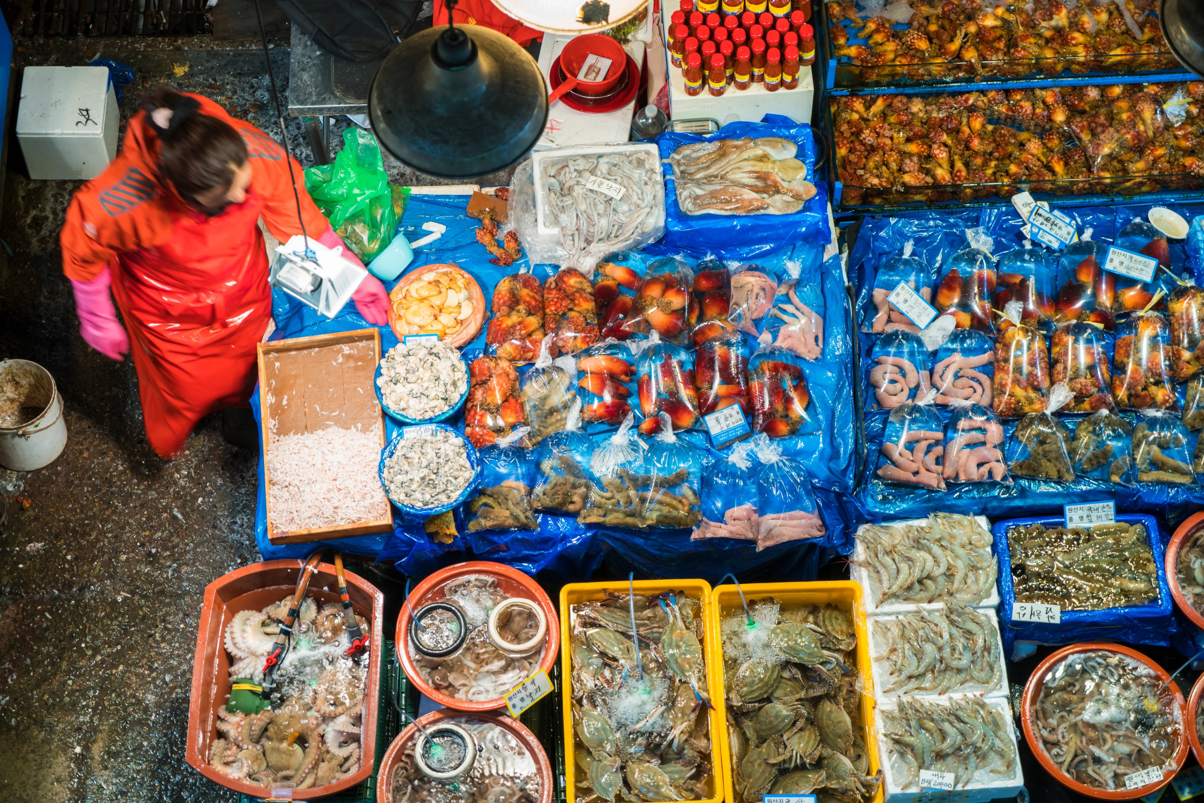 The fish stalls, Noryangjin Fish Market, Seoul/Getty Images