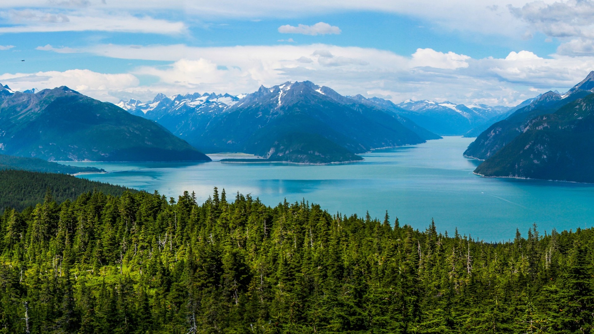 Everything You Need to Know About Your Cruise to Alaska