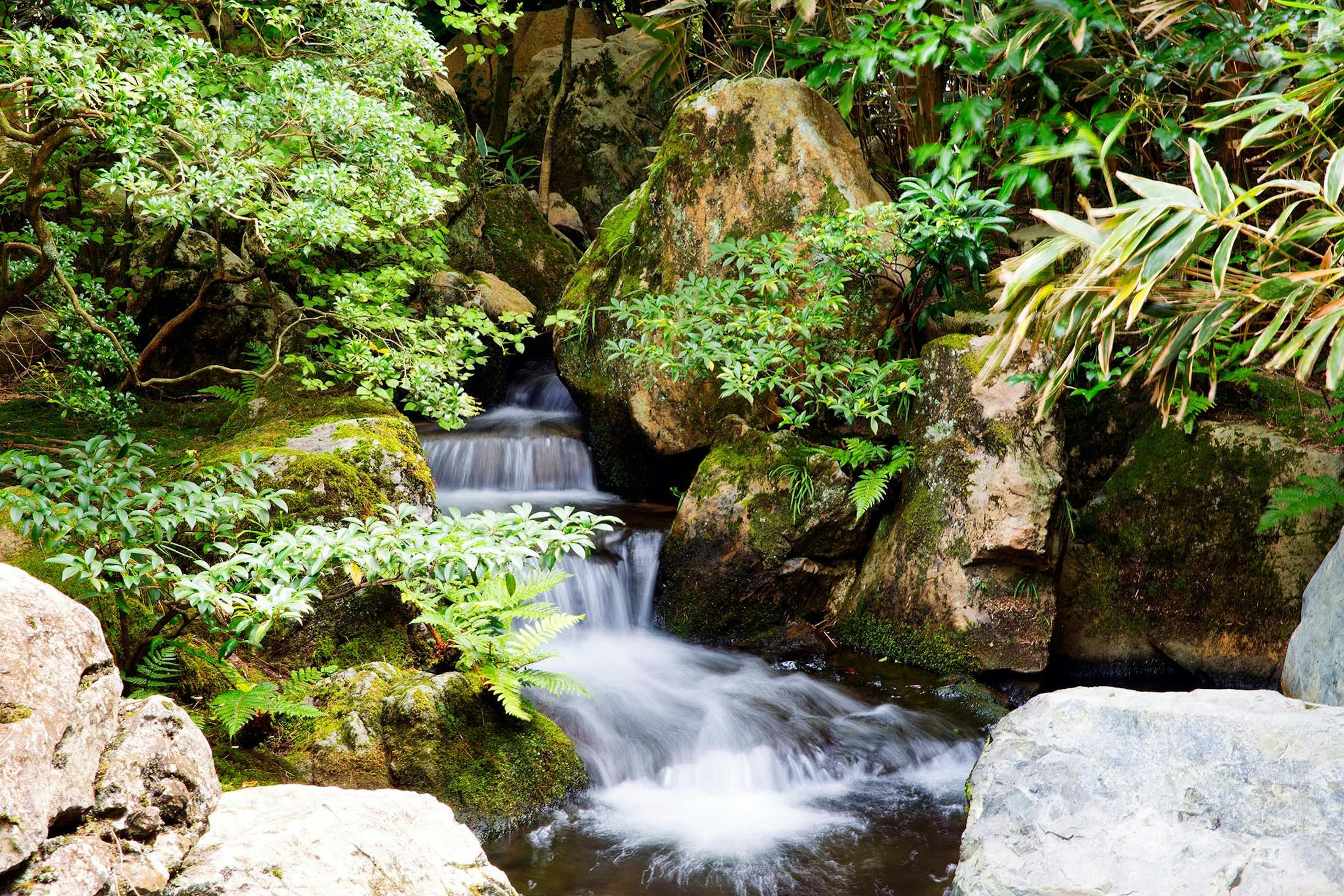 Japanese gardens in Sakaiminato./Lucia Griggi