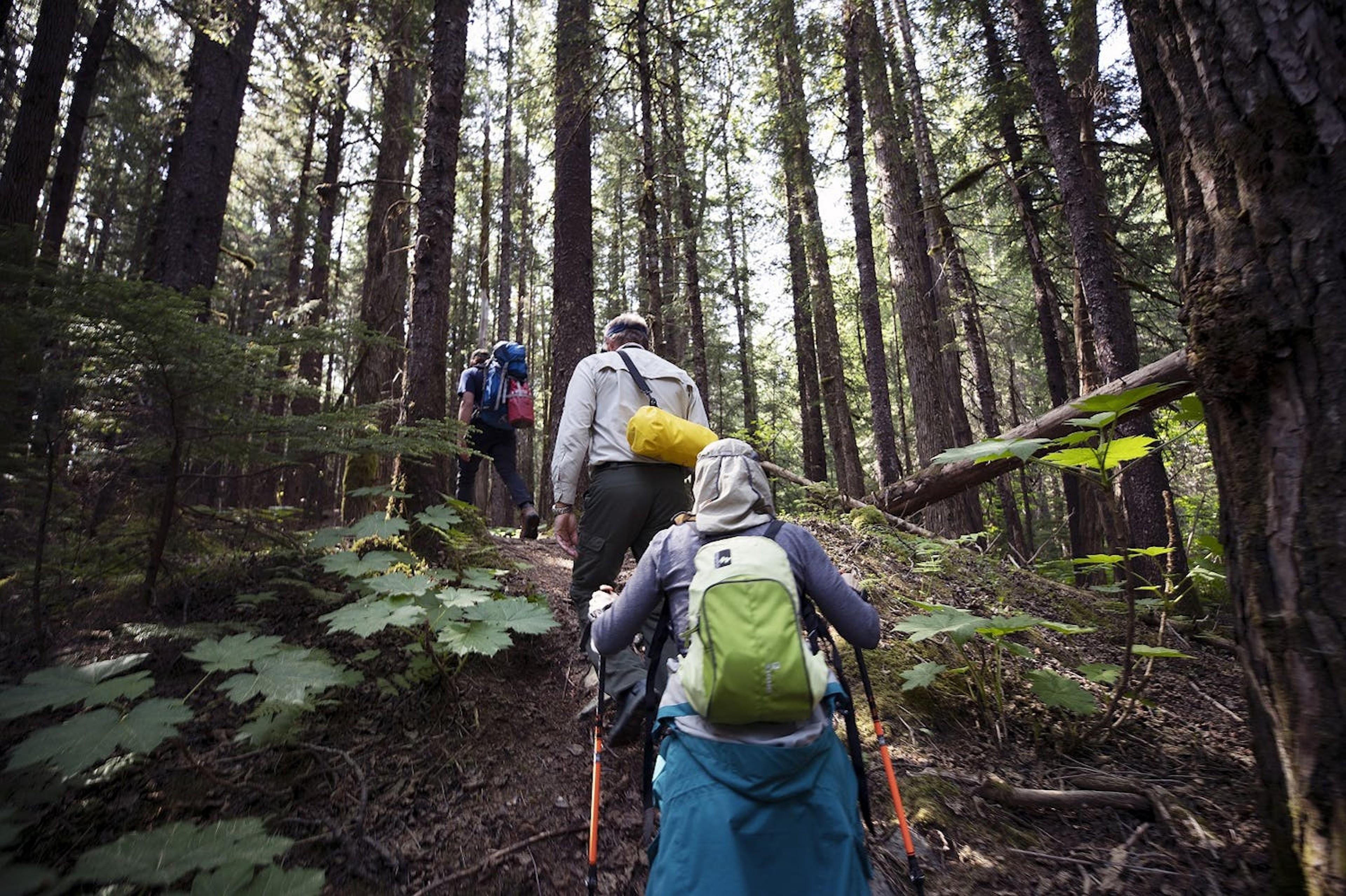 Ensure you can comfortably carry your kit, when your Alaska itinerary involves hiking./Lucia Griggi