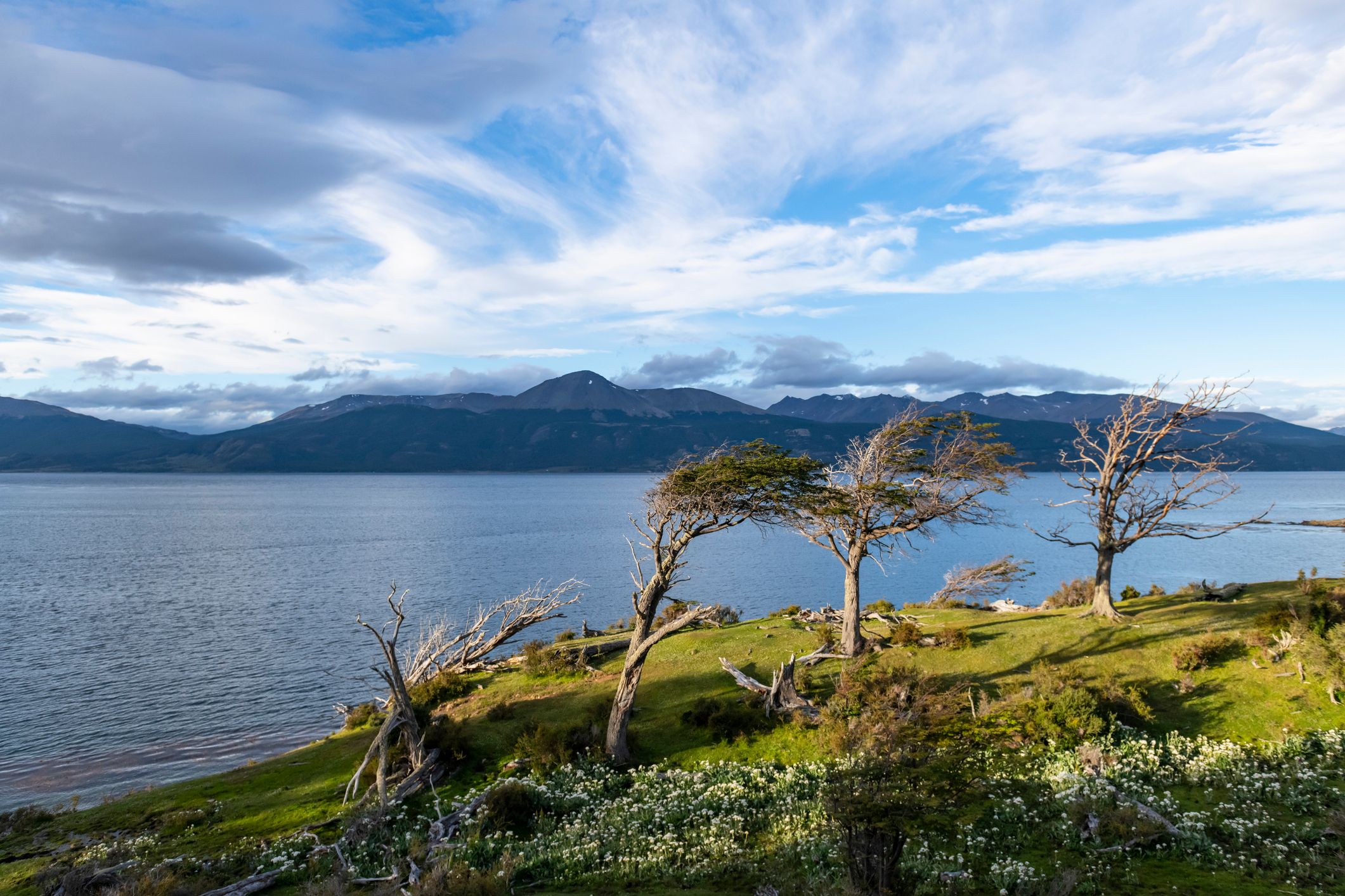 3 Things to See and Do in Chile’s Puerto Williams