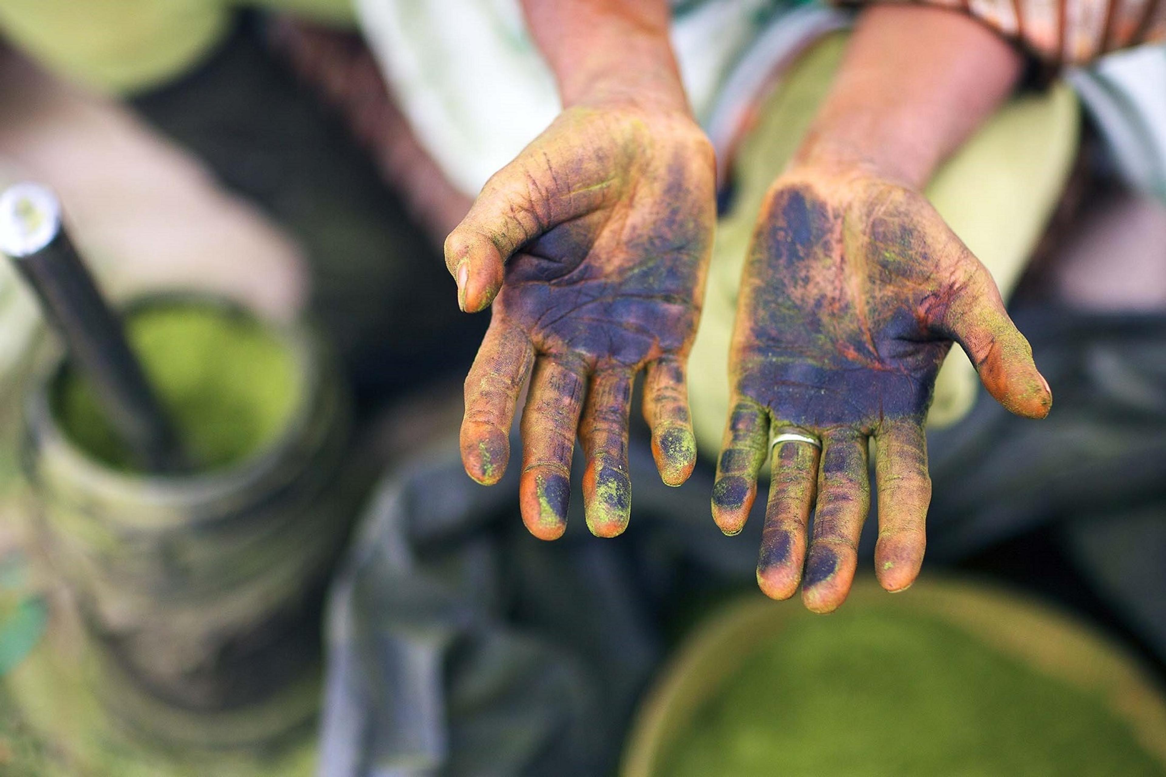 Ayurveda restores one's prakriti, or ideal state./Lucia Griggi